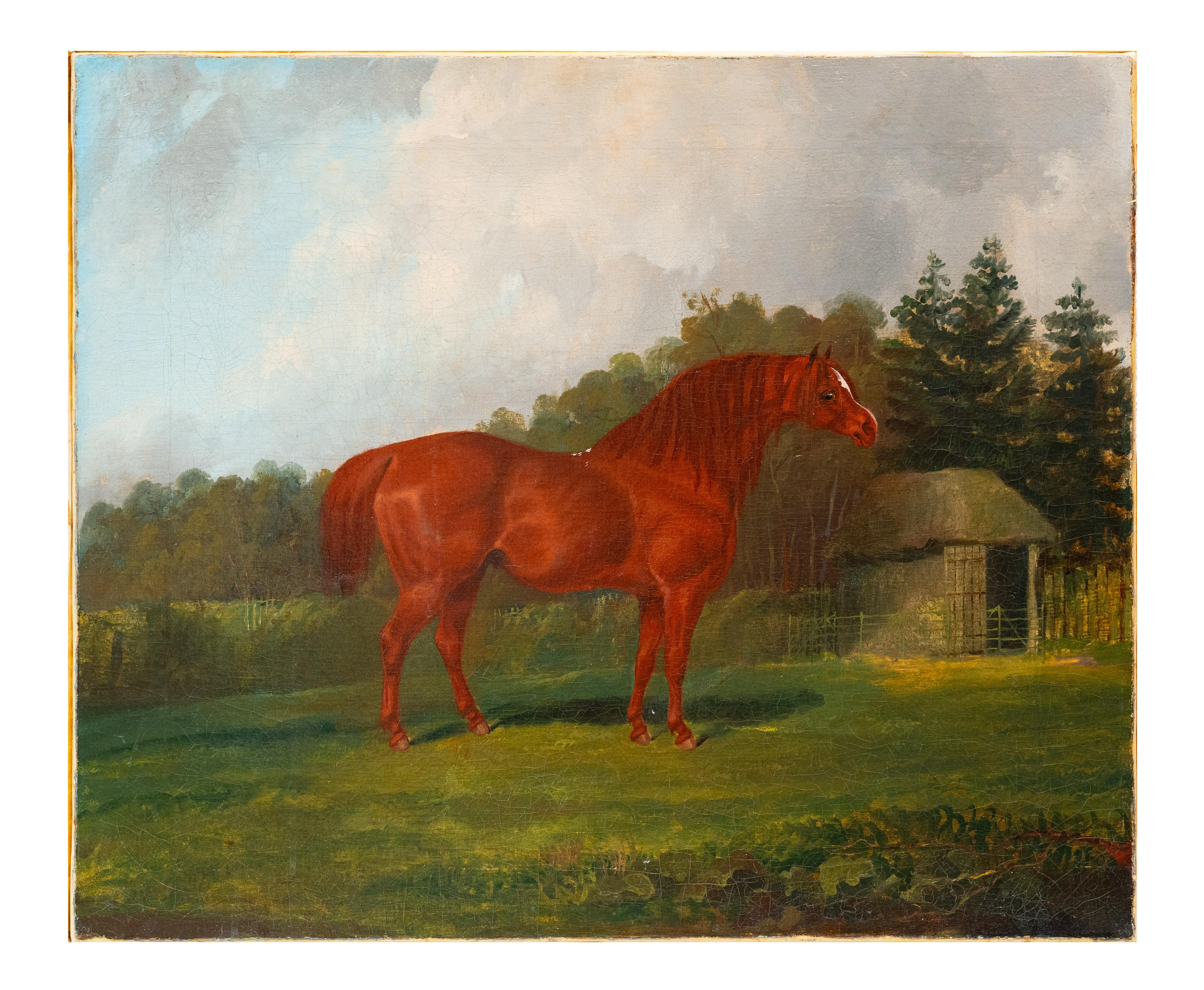 Chestnut Stallion at Rest, British School 19th century