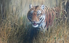 Majestic Tiger Tall Grass Realistic Wildlife British Oil Painting Ornate Frame