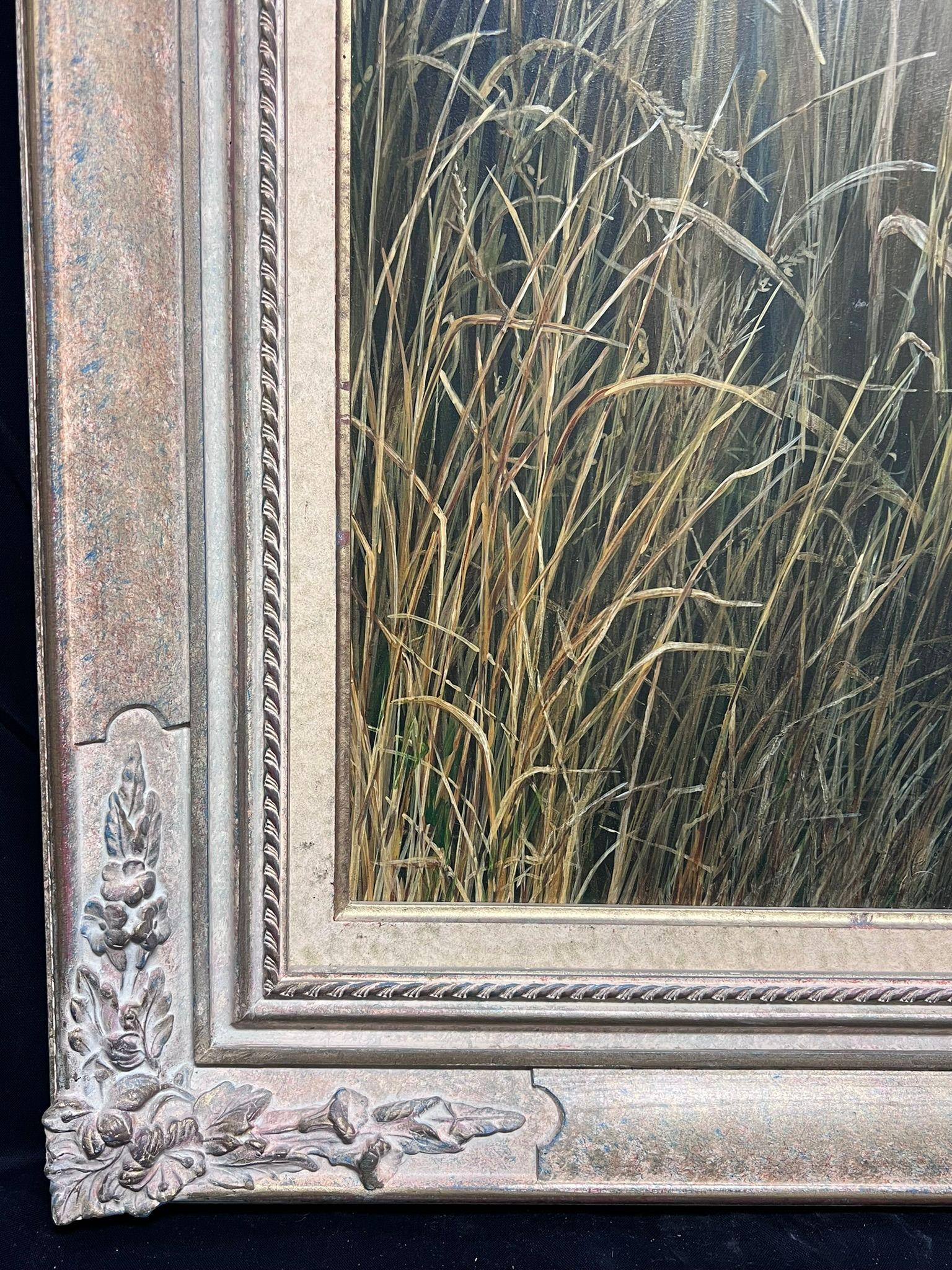 Tigre del Bengala
di Mark Chester, britannico contemporaneo
Olio su tavola, incorniciato
Incorniciato: 25,5 x 36 pollici
Tavola: 21 x 31 pollici
Provenienza: Collezione privata, Regno Unito
Condit: Questo dipinto è in condizioni eccellenti, con