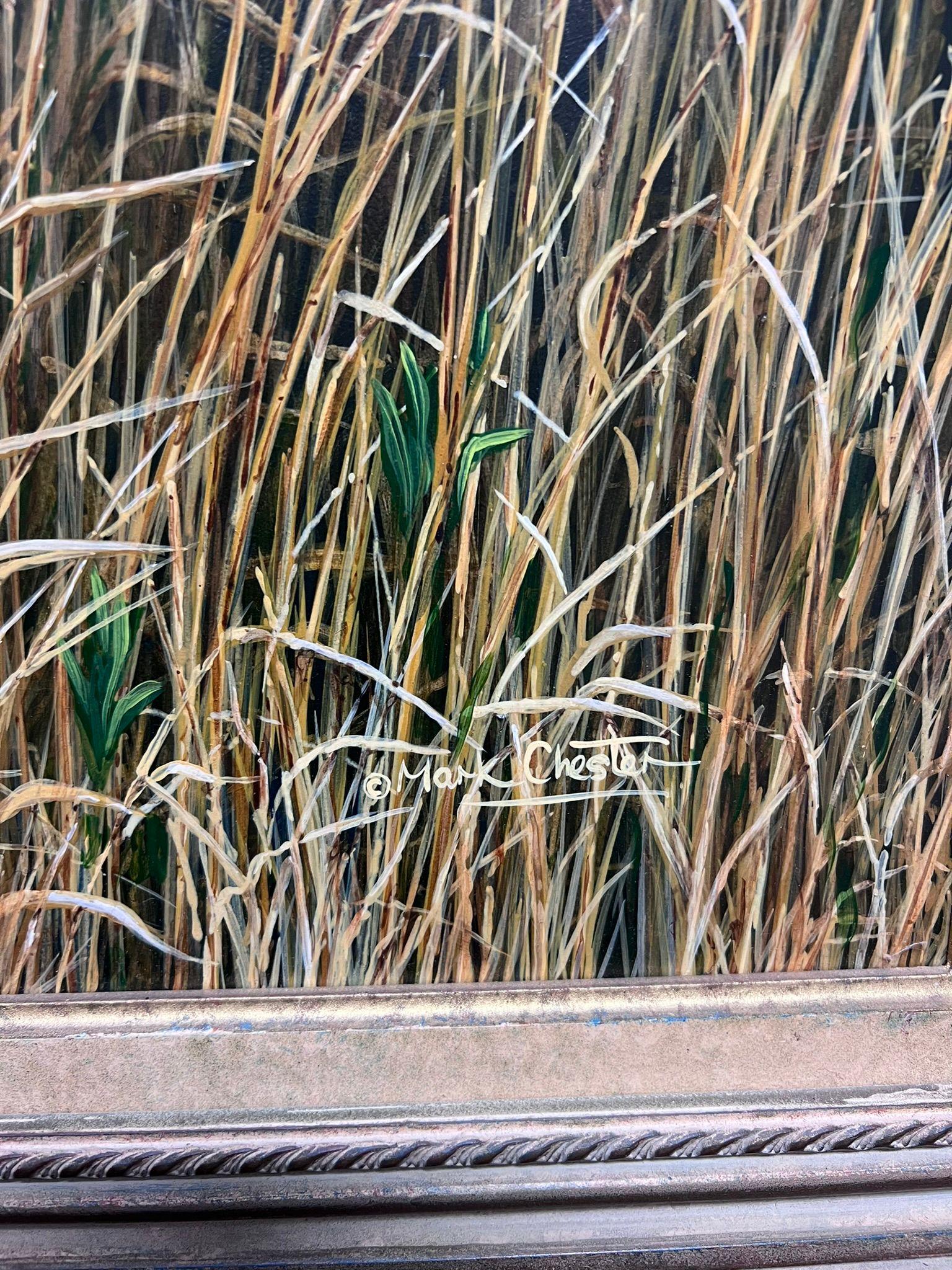 Majestic Tigre Erba Alta Realistica Fauna Selvatica Britannica Pittura ad Olio Cornice Ornata in vendita 4