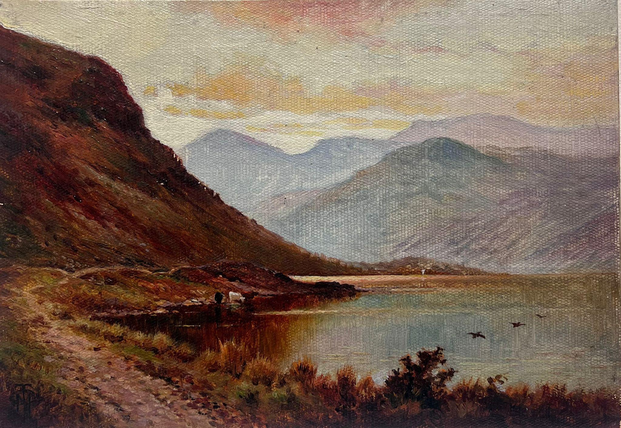 Landscape Painting British School  - Huile ancienne signée : Scène de loch au coucher du soleil, abreuvage du bétail, Scottish Highlands 