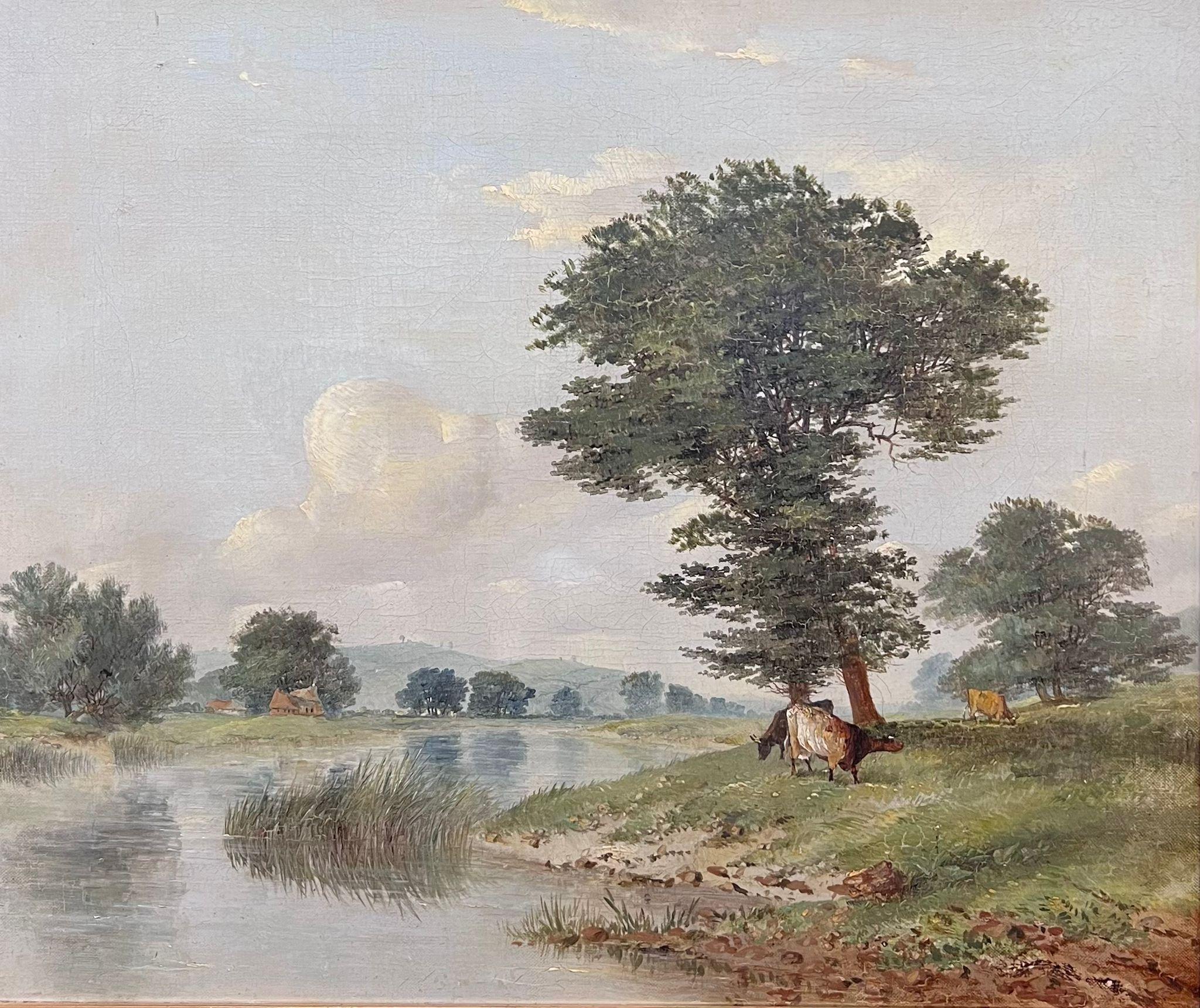 Tranquilla pastorale sulla riva del fiume con mucche al pascolo Pittura antica del XIX secolo Nottinghamshire - Painting di British School 