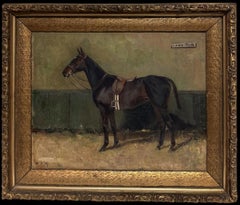 Fine Portrait of a Black Saddled Bay Hunter Horse Antique British Oil Painting