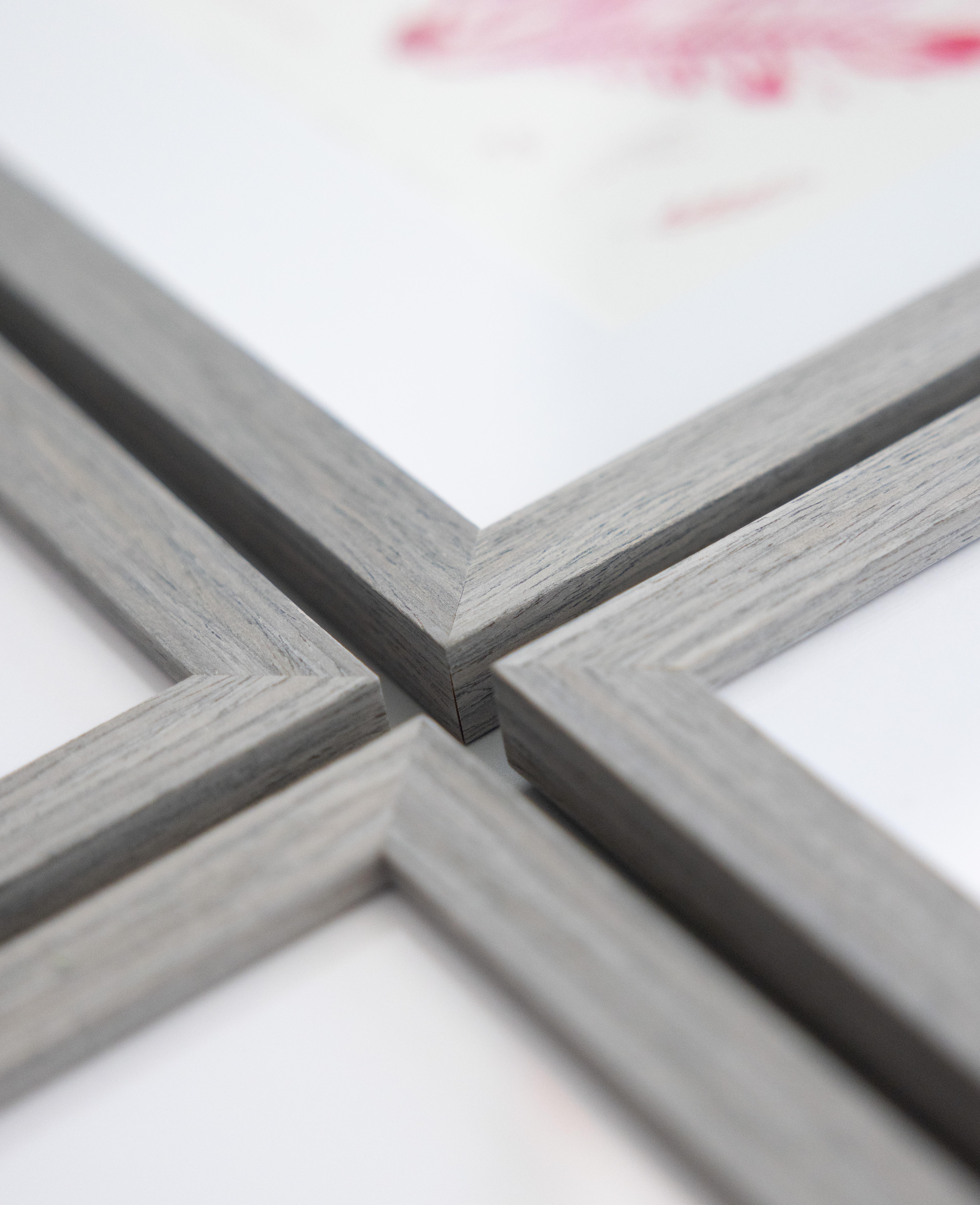 British Seaweed Giclée Prints - set of four, 1859 For Sale 6