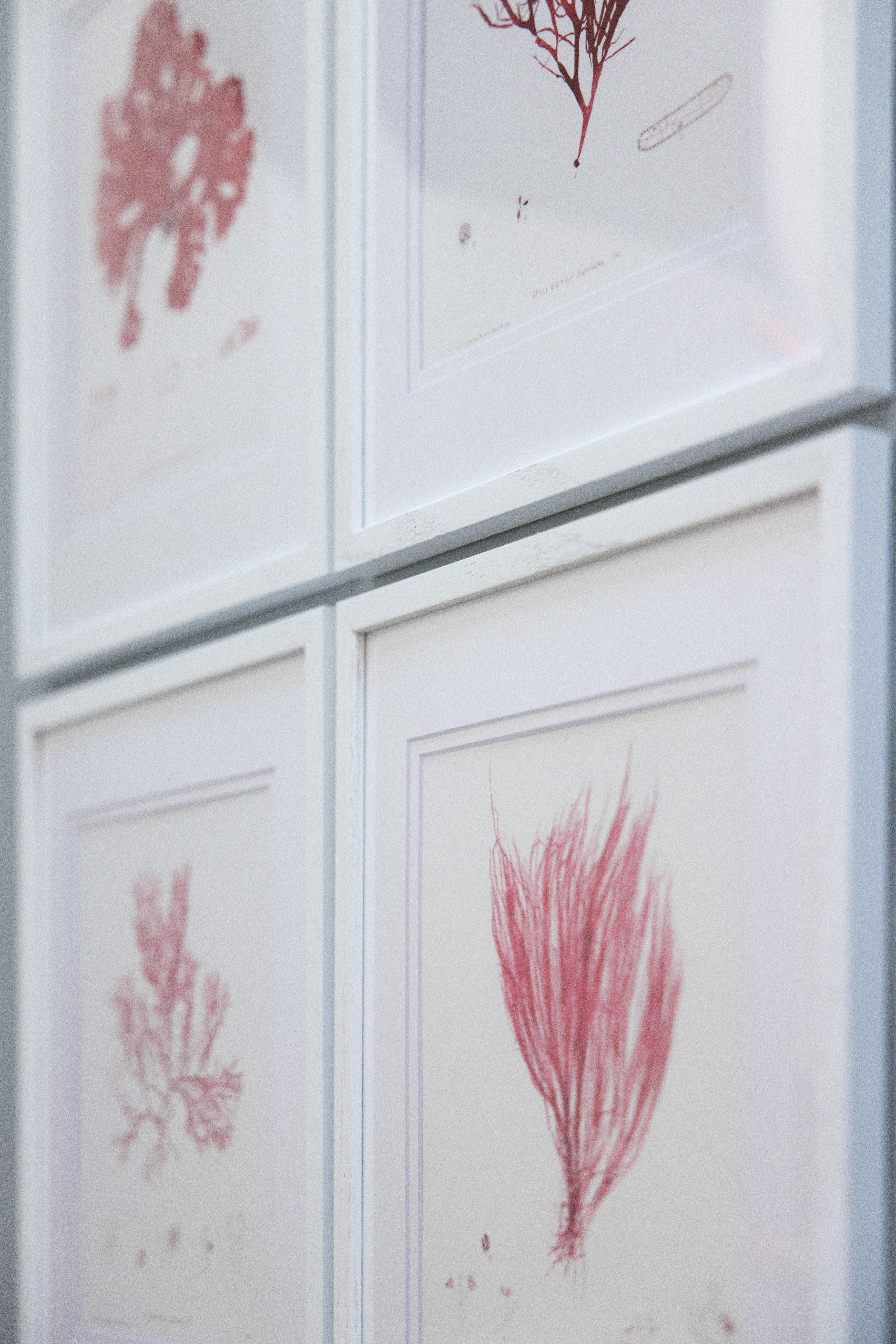 Archival giclée prints from the much celebrated 