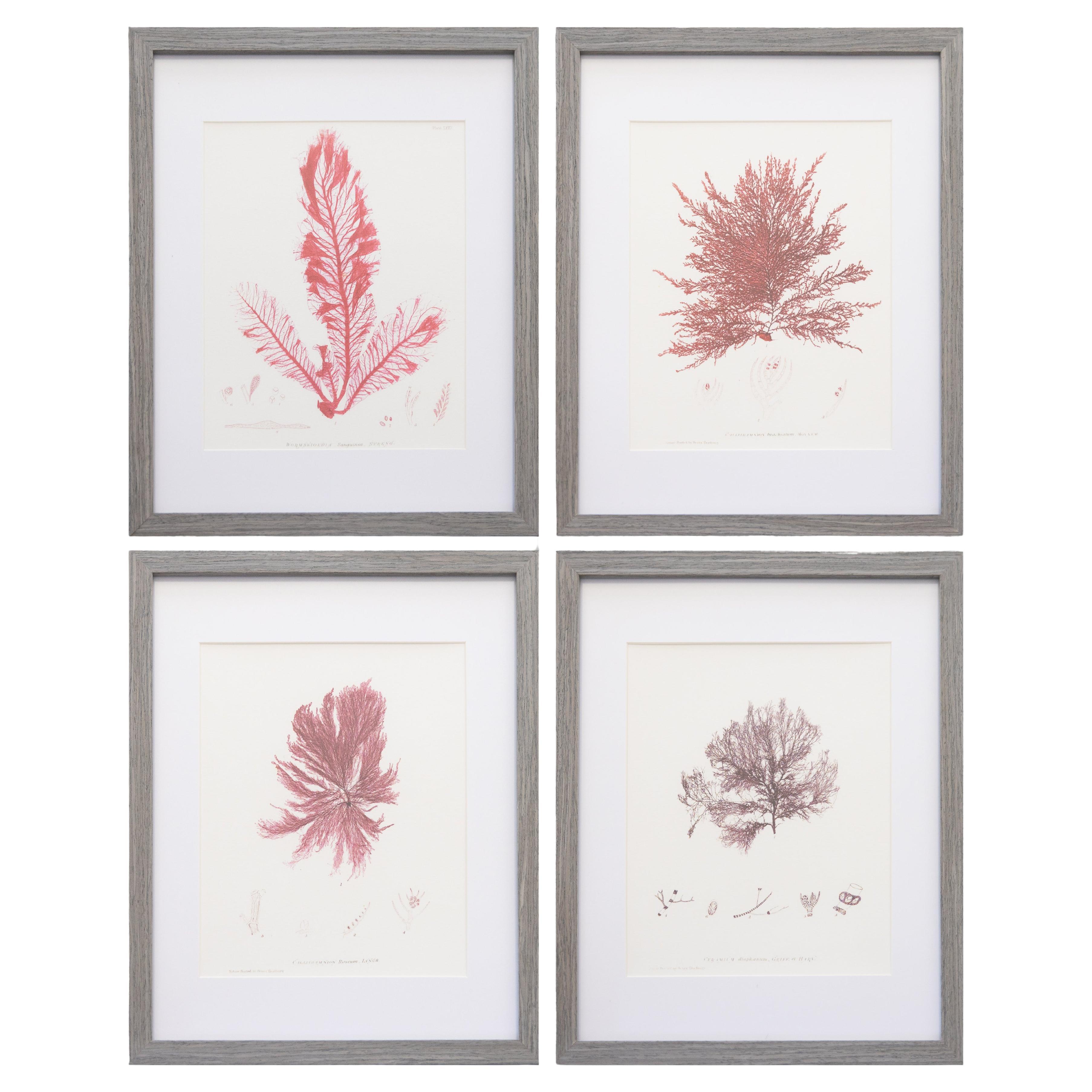 New And Custom Decorative Art