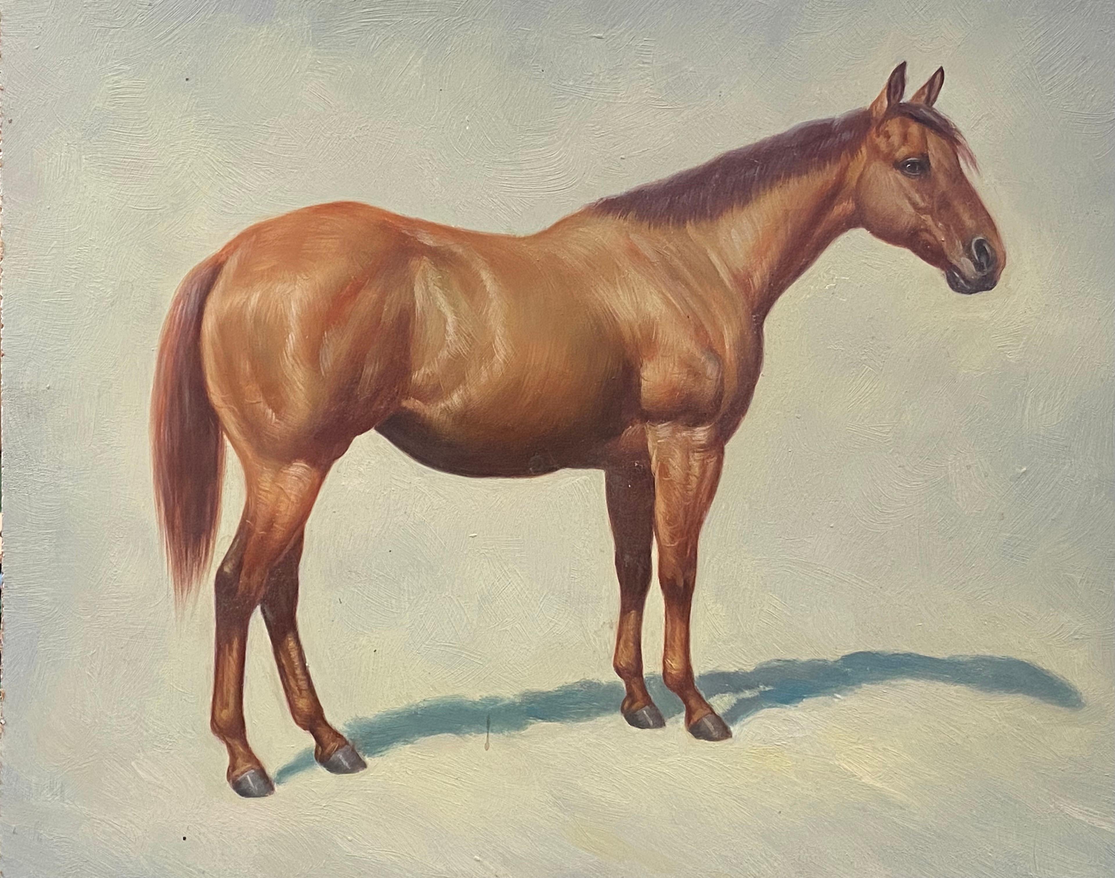 British Sporting Art Animal Painting - Fine Equestrian Horse Portrait British Oil Painting - Horse standing