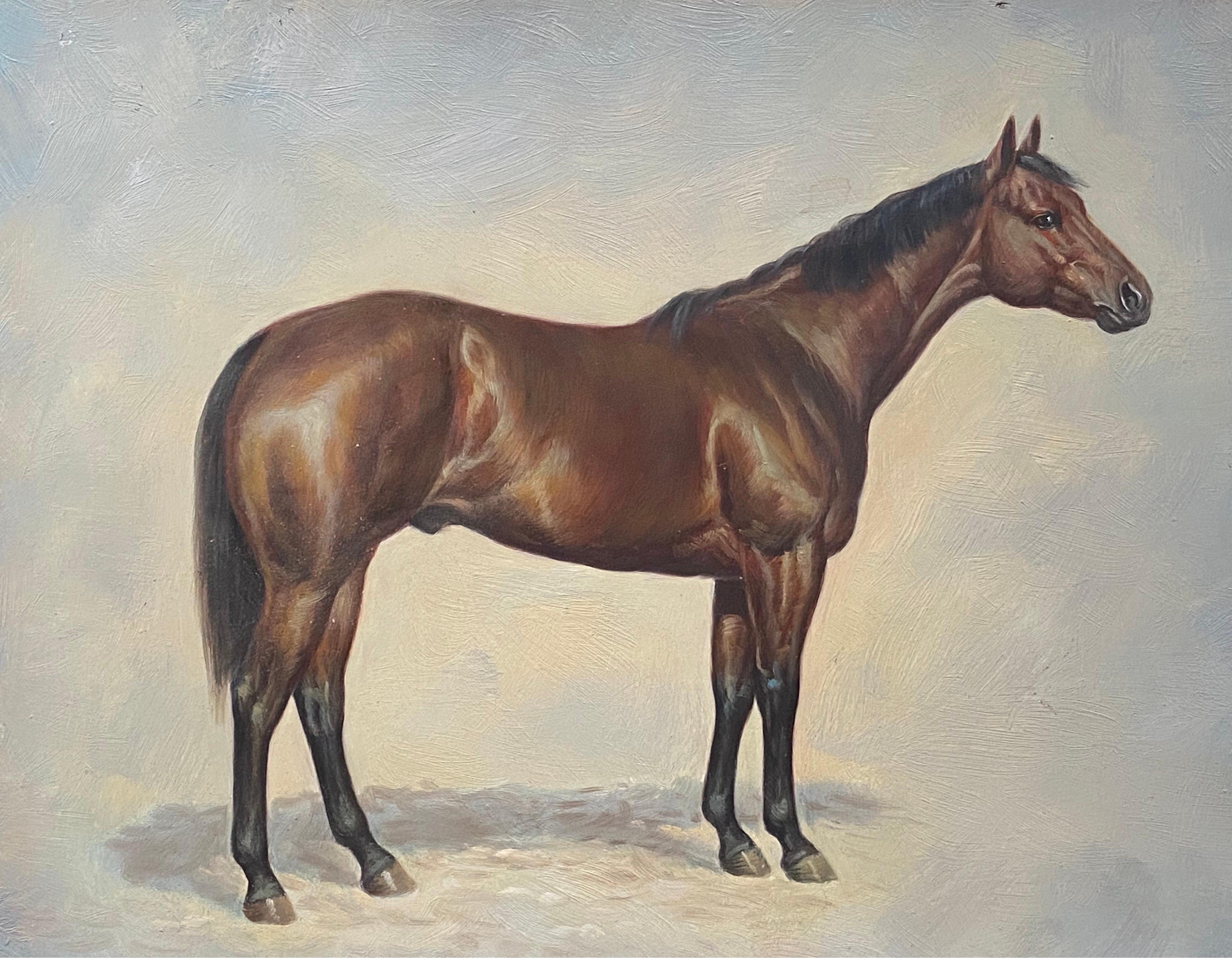 British Sporting Art Animal Painting - Fine Equestrian Horse Portrait British Oil Painting - Horse standing