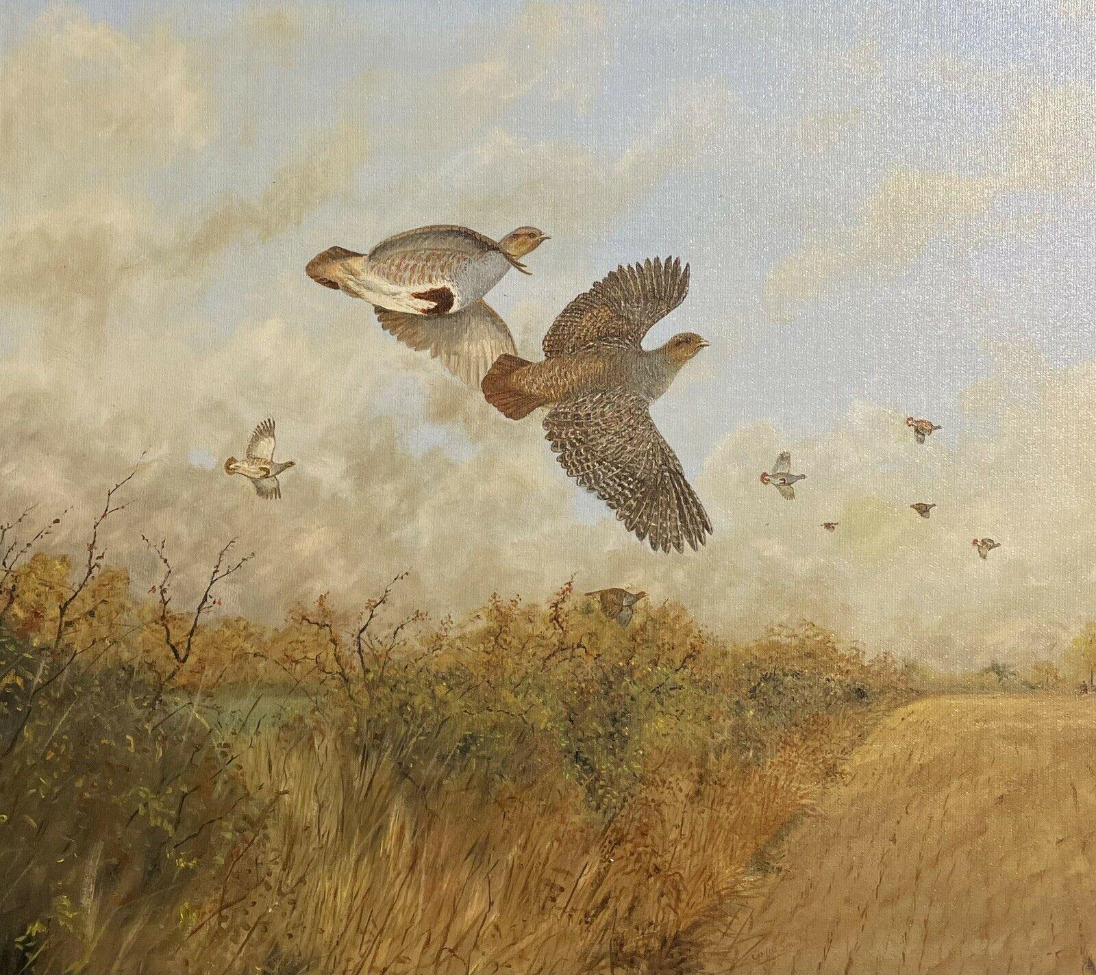 Patridge Shooting British Sporting Art Original Oil Painting, signed 2
