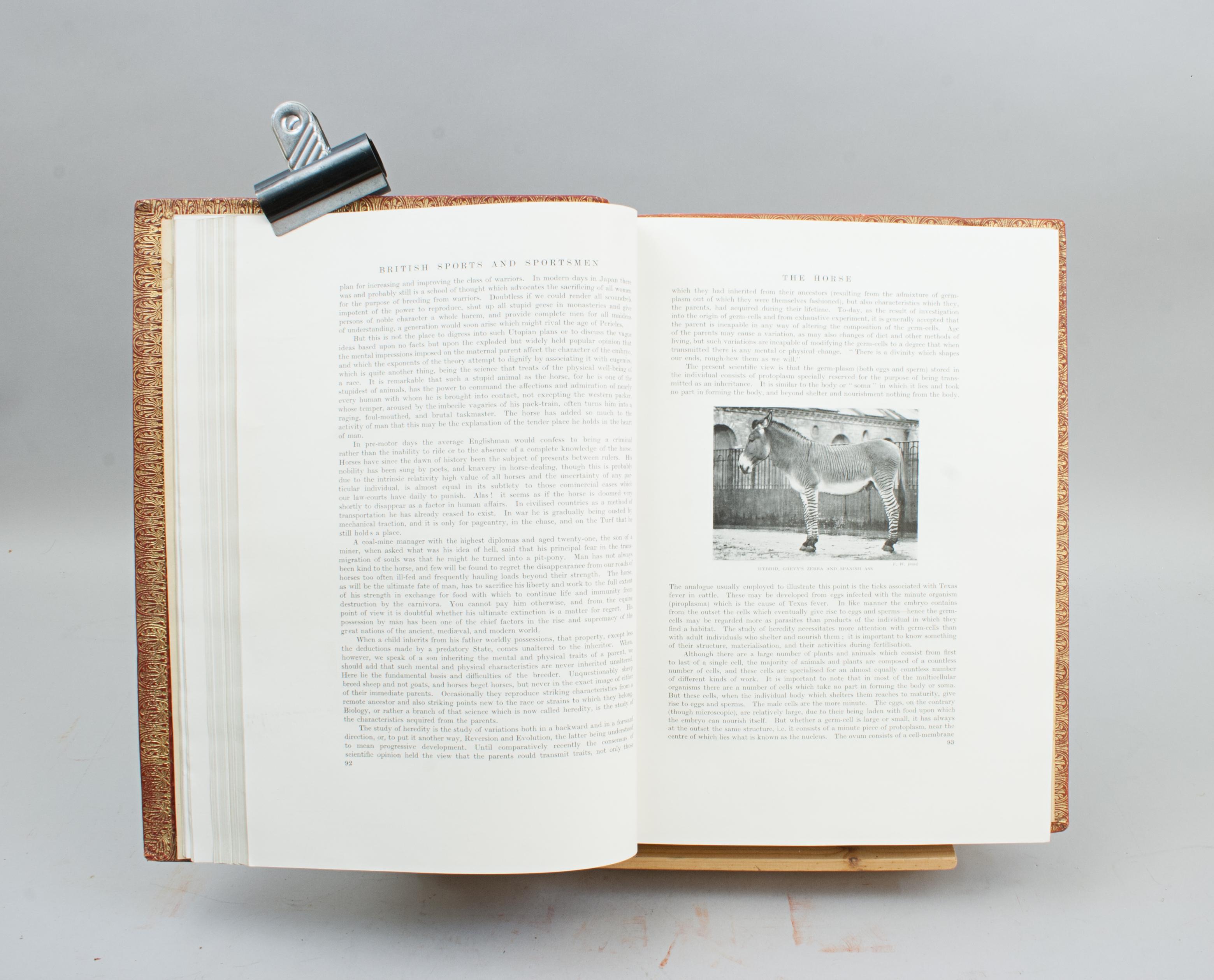 British Sports And Sportsmen Book Breeding Agriculture And Country Life Pursuits im Angebot 7