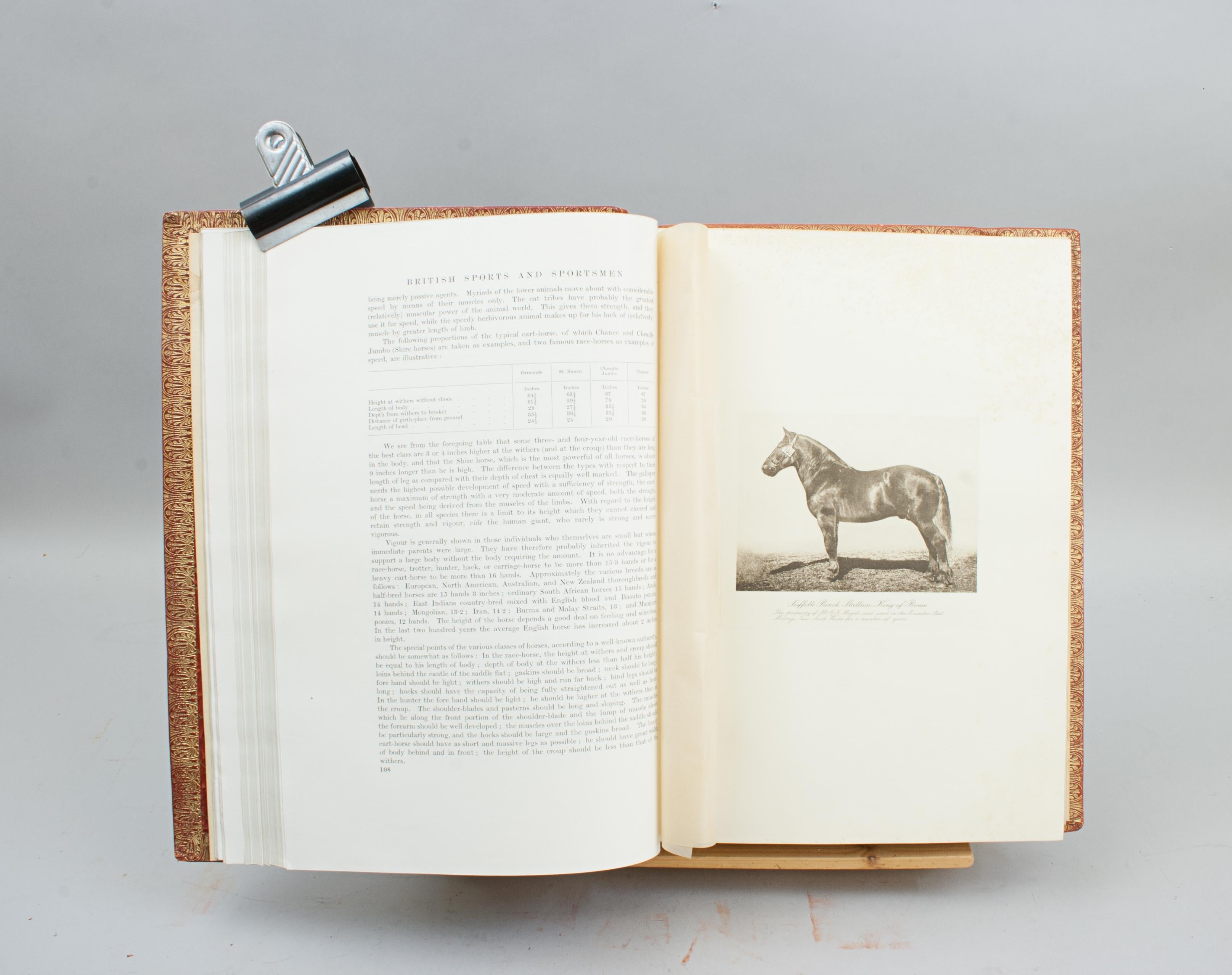 British Sports And Sportsmen Book Breeding Agriculture And Country Life Pursuits im Angebot 8