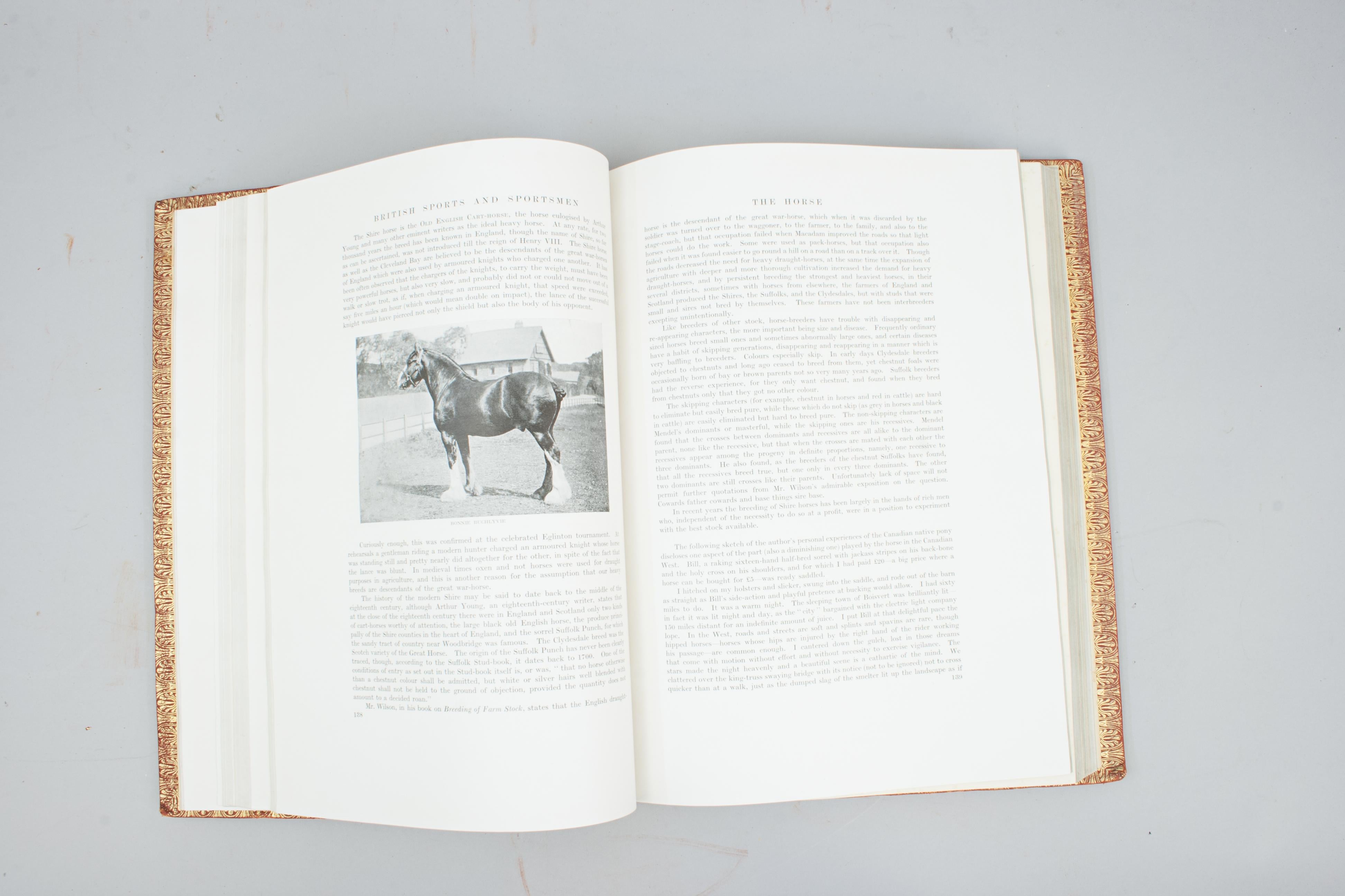 British Sports And Sportsmen Book Breeding Agriculture And Country Life Pursuits im Angebot 9
