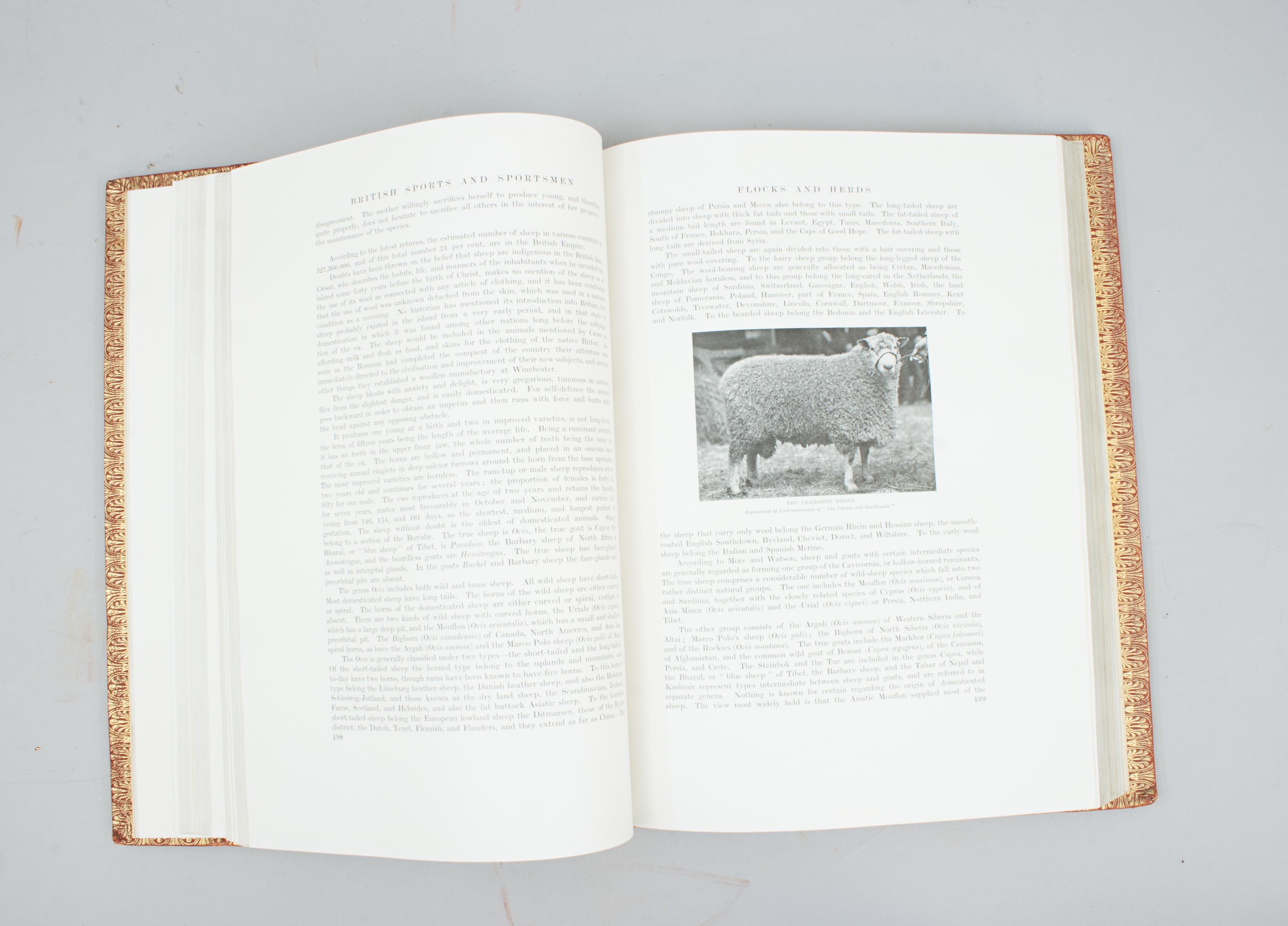 British Sports And Sportsmen Book Breeding Agriculture And Country Life Pursuits im Angebot 10