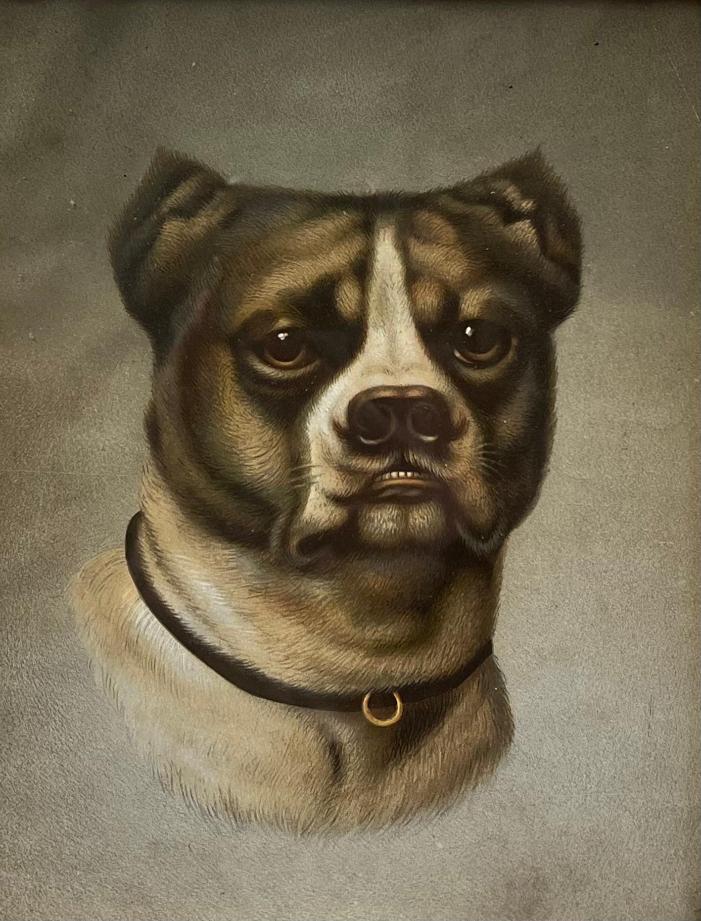 Antico ritratto di testa di cane inglese razza rara cornice dorata antica - Print di British Victorian