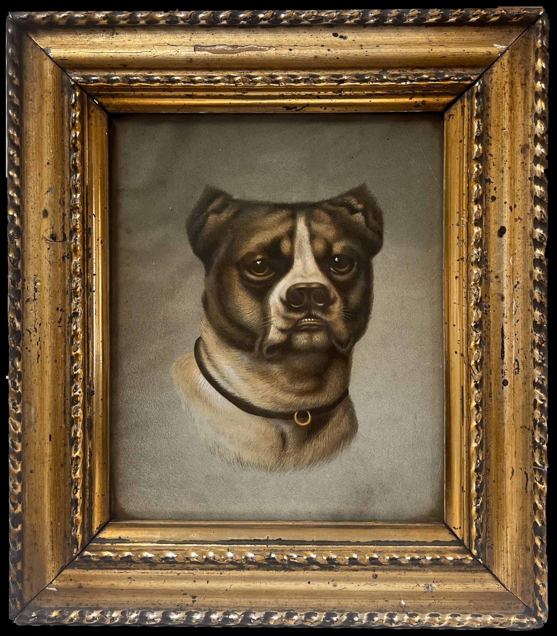 Cuadro Antiguo Perro Inglés Retrato Cabeza Rara Raza Marco Antiguo Dorado
