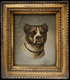 Antique English Dog Picture Head Portrait Rare Breed Antique Gilt Frame