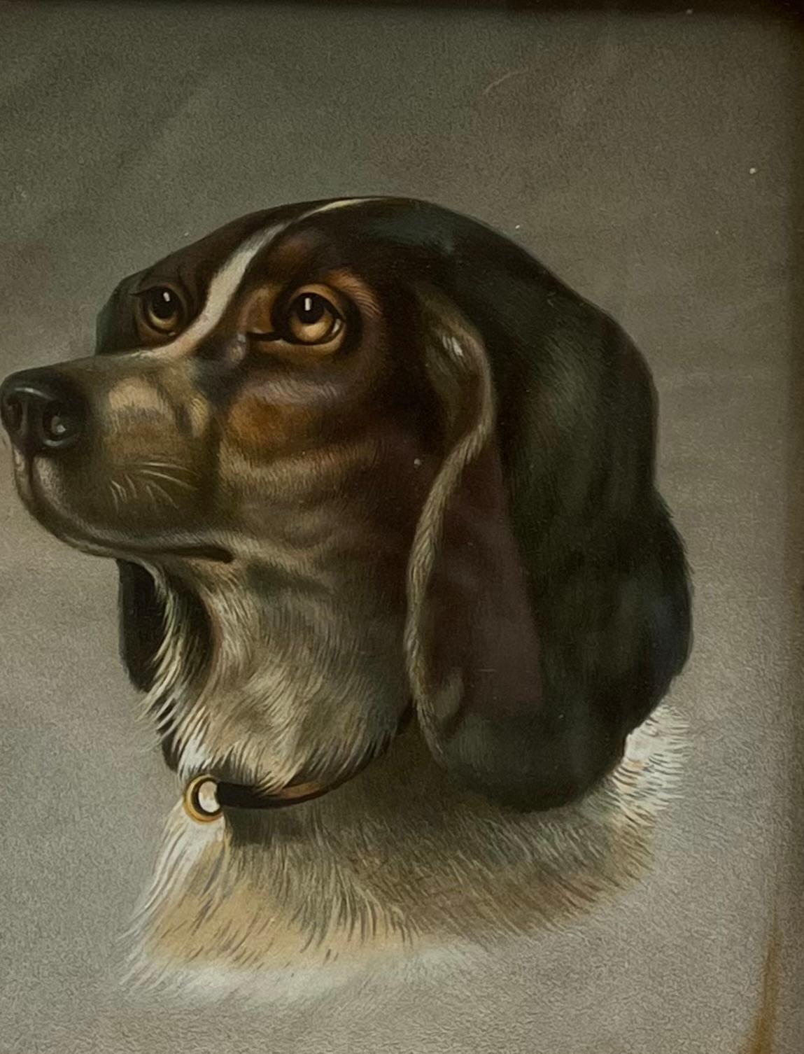 Retrato original antiguo de cabeza de perro inglés en marco dorado - Print de British Victorian