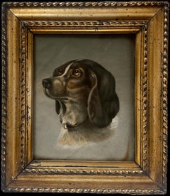 Ritratto originale di testa di cane inglese antico in cornice dorata