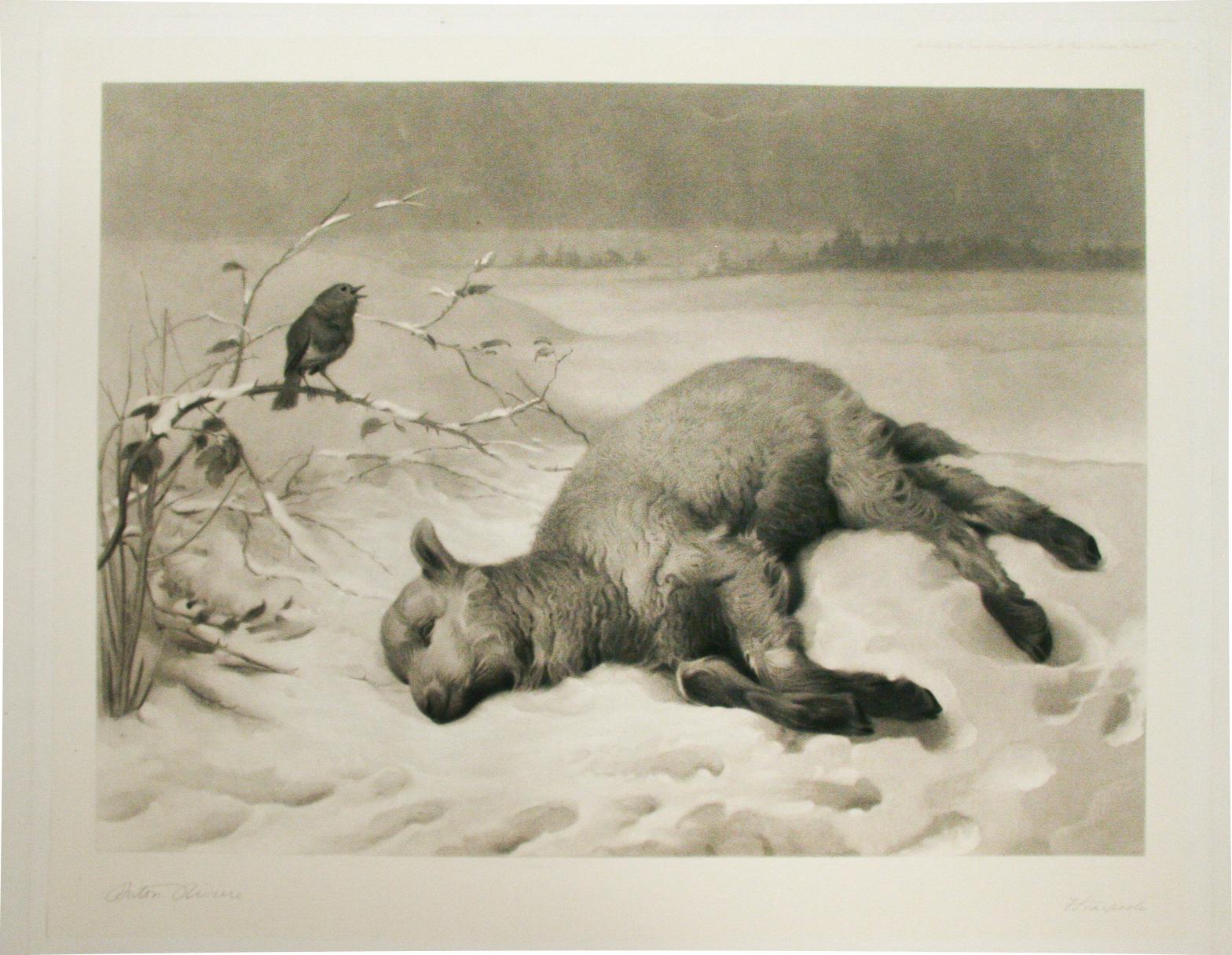 Briton Riviere Animal Print - "Strayed From the Flock, " Artist Signed Print, Engraved by Frederick Stacpoole 