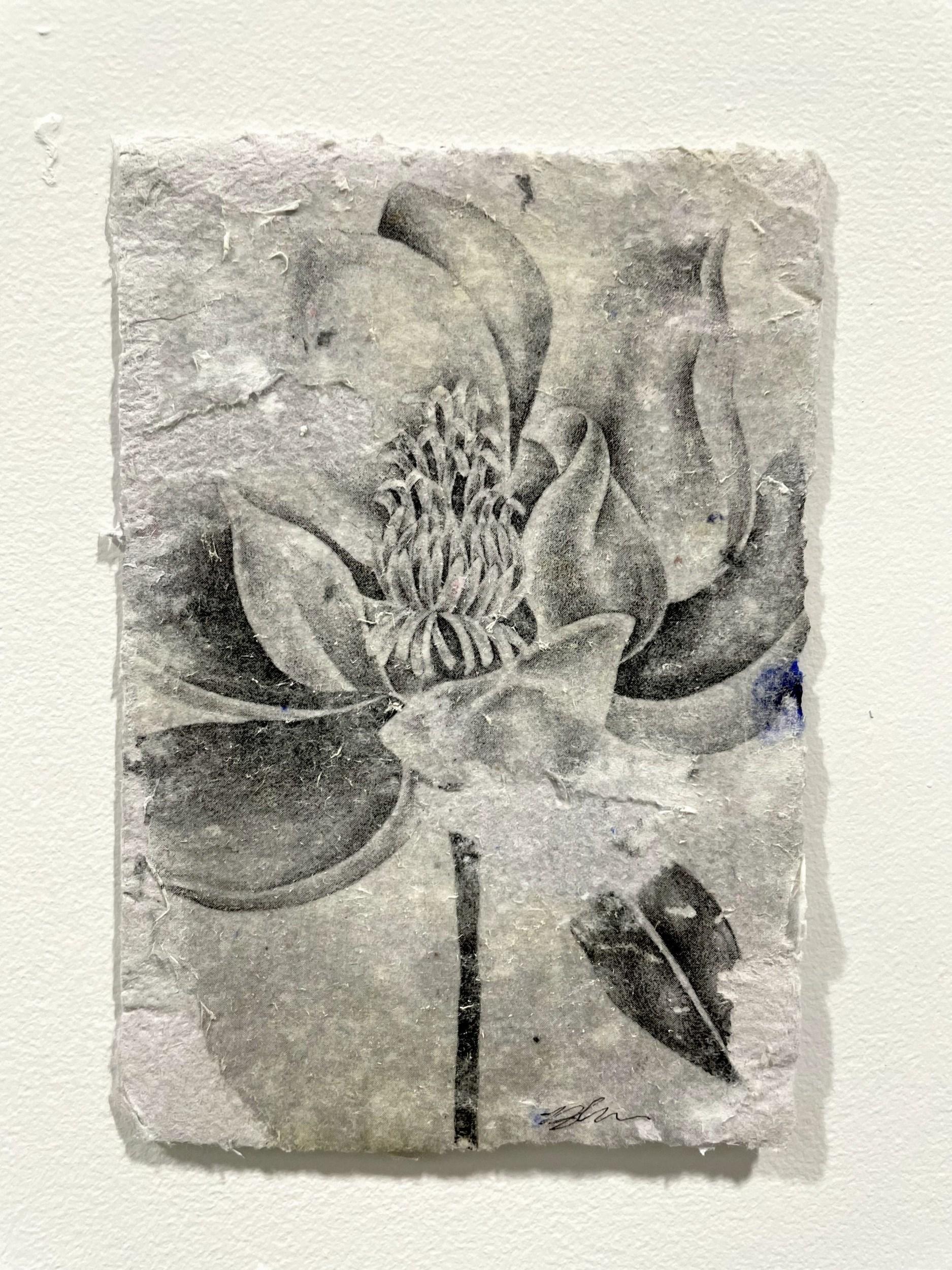 Magnolia - Print by Brittany Noriega