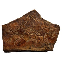 Especímenes Naturales de Piedra