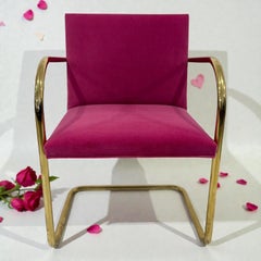 Brno Tubular Chairs in Fuchsia velvet Polished Brass by Mies Van Der Rohe, Knoll