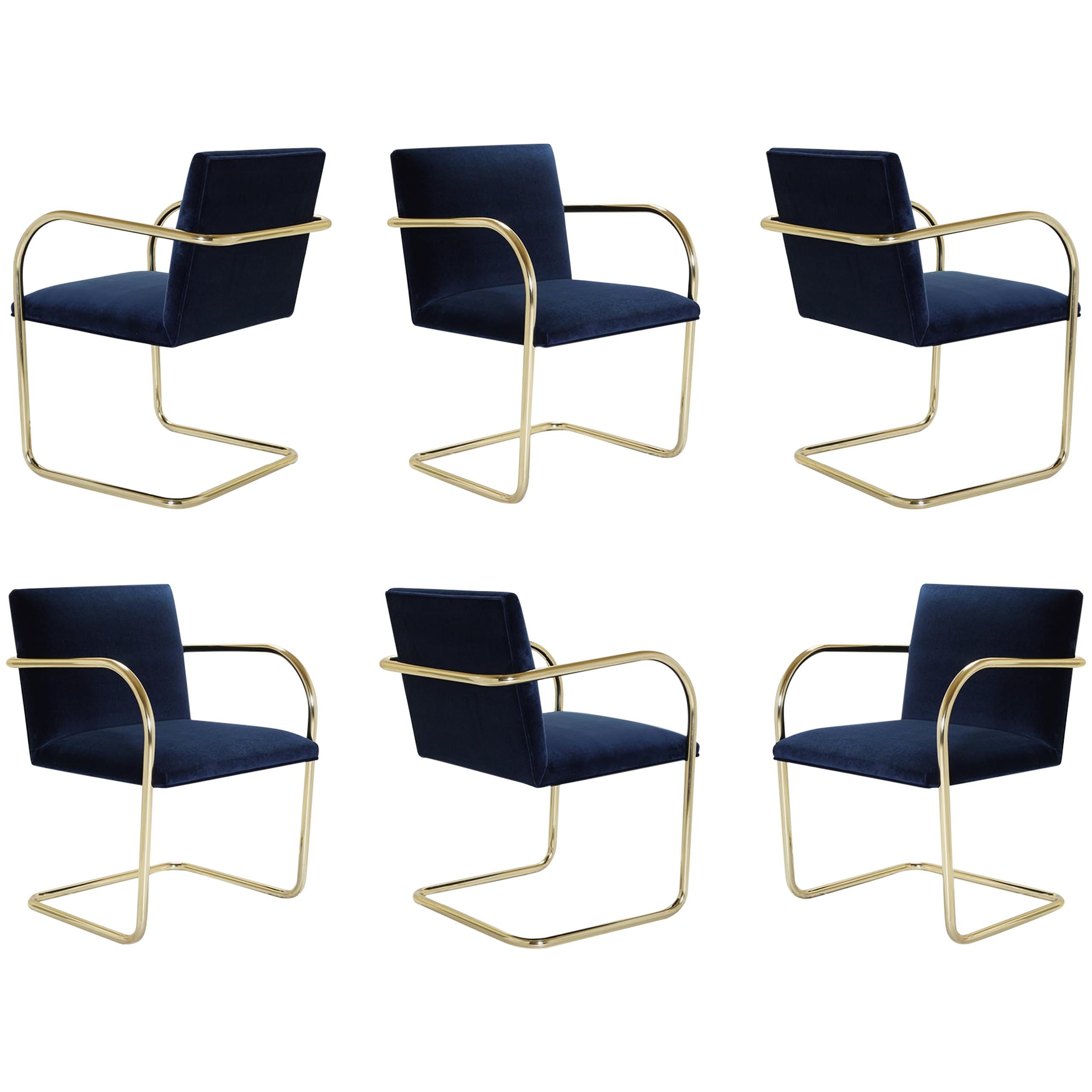 Brno Tubular Chairs in Velvet Polished Brass by Mies van der Rohe for Knoll, 6