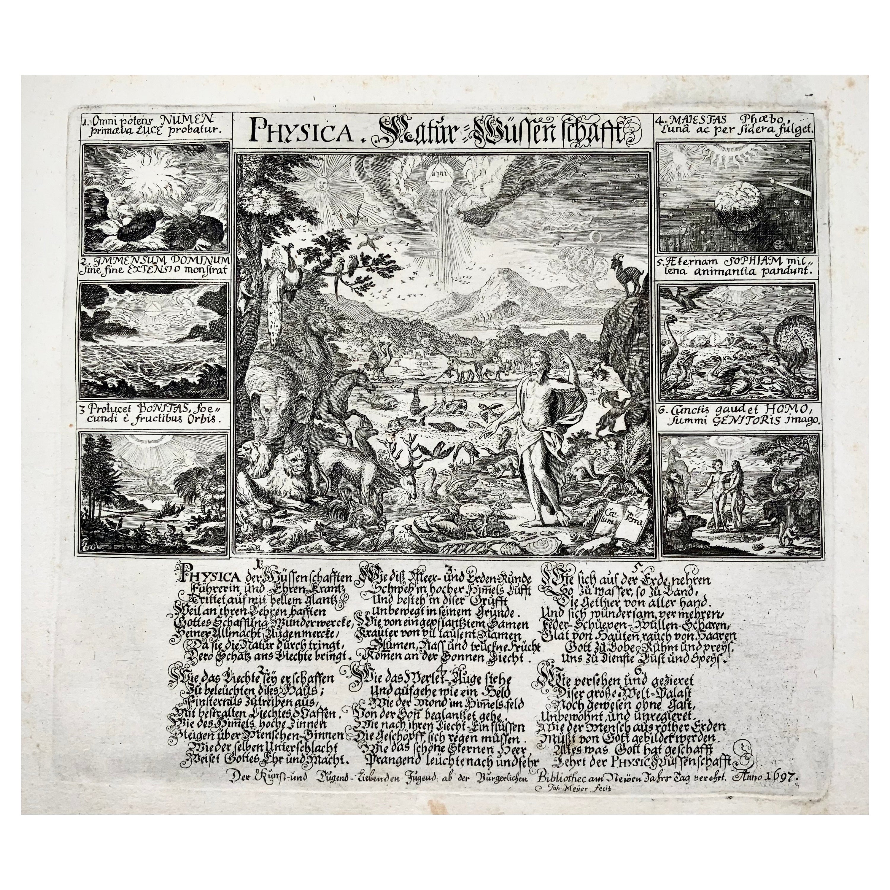 Broadside, ‘Physica’ Natural Science, Evolution, Zurich, Switzerland For Sale