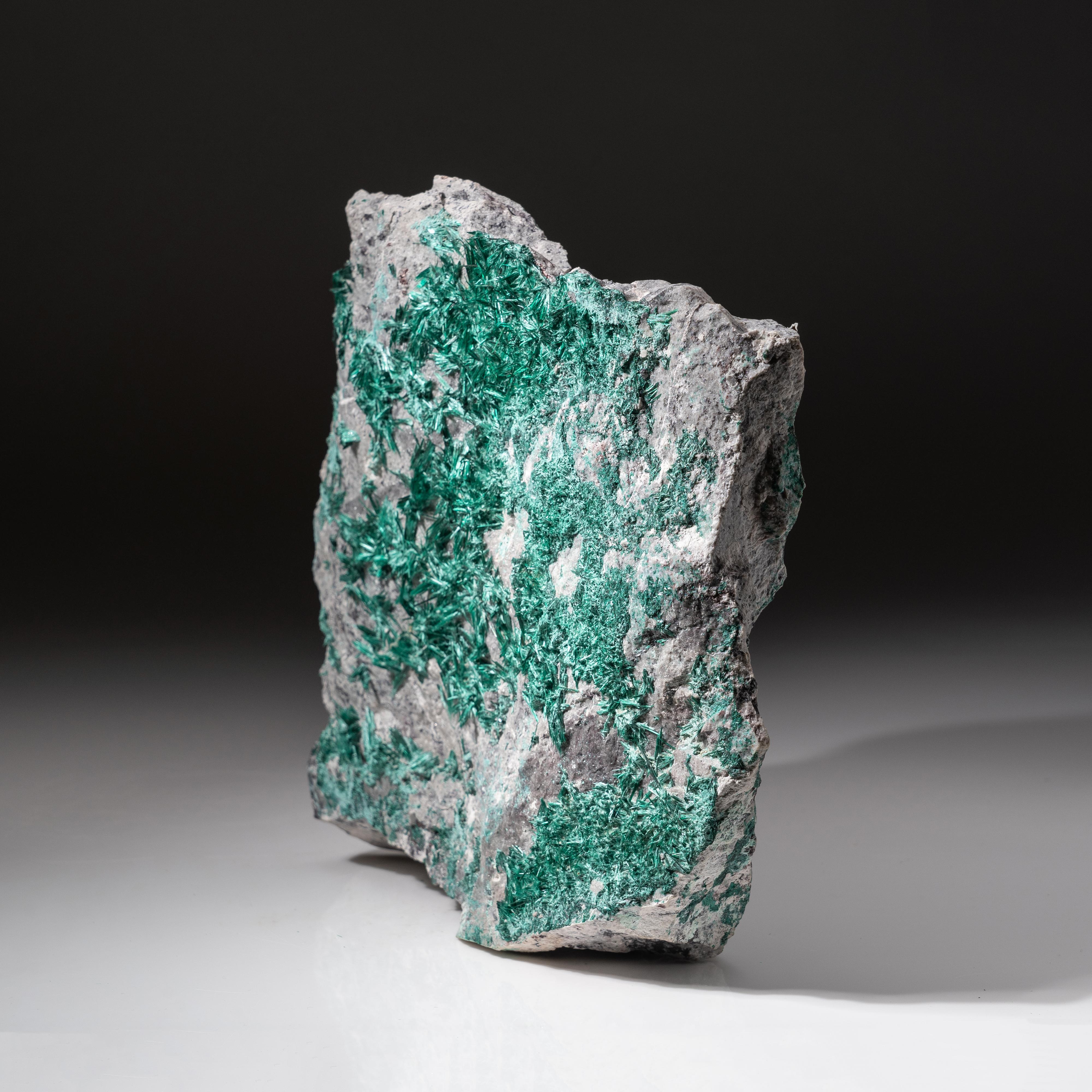 Brochantite from Milpillas Mine, Cuitaca, Sonora, Mexico In New Condition For Sale In New York, NY