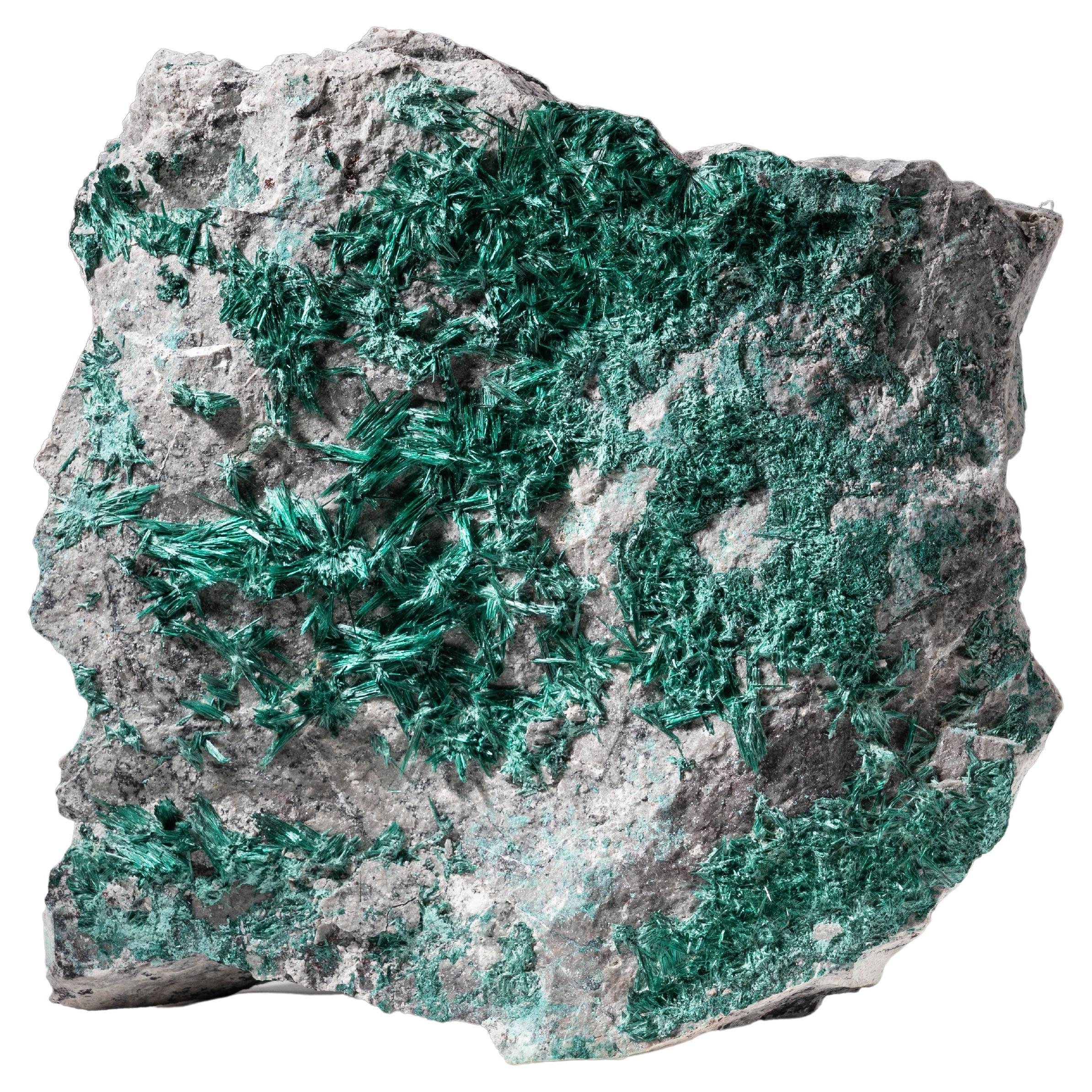 Brochantite from Milpillas Mine, Cuitaca, Sonora, Mexico For Sale
