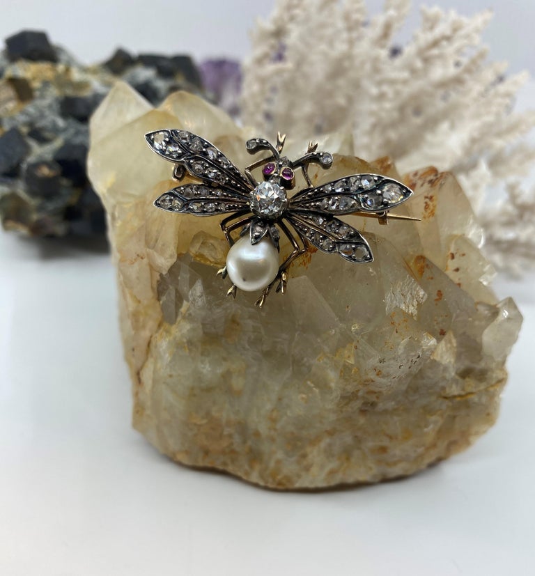 Broche Abeille Cristaux Passion main image 1