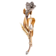Broche Art nouveau en forme d'iris, en diamants, ou et argent