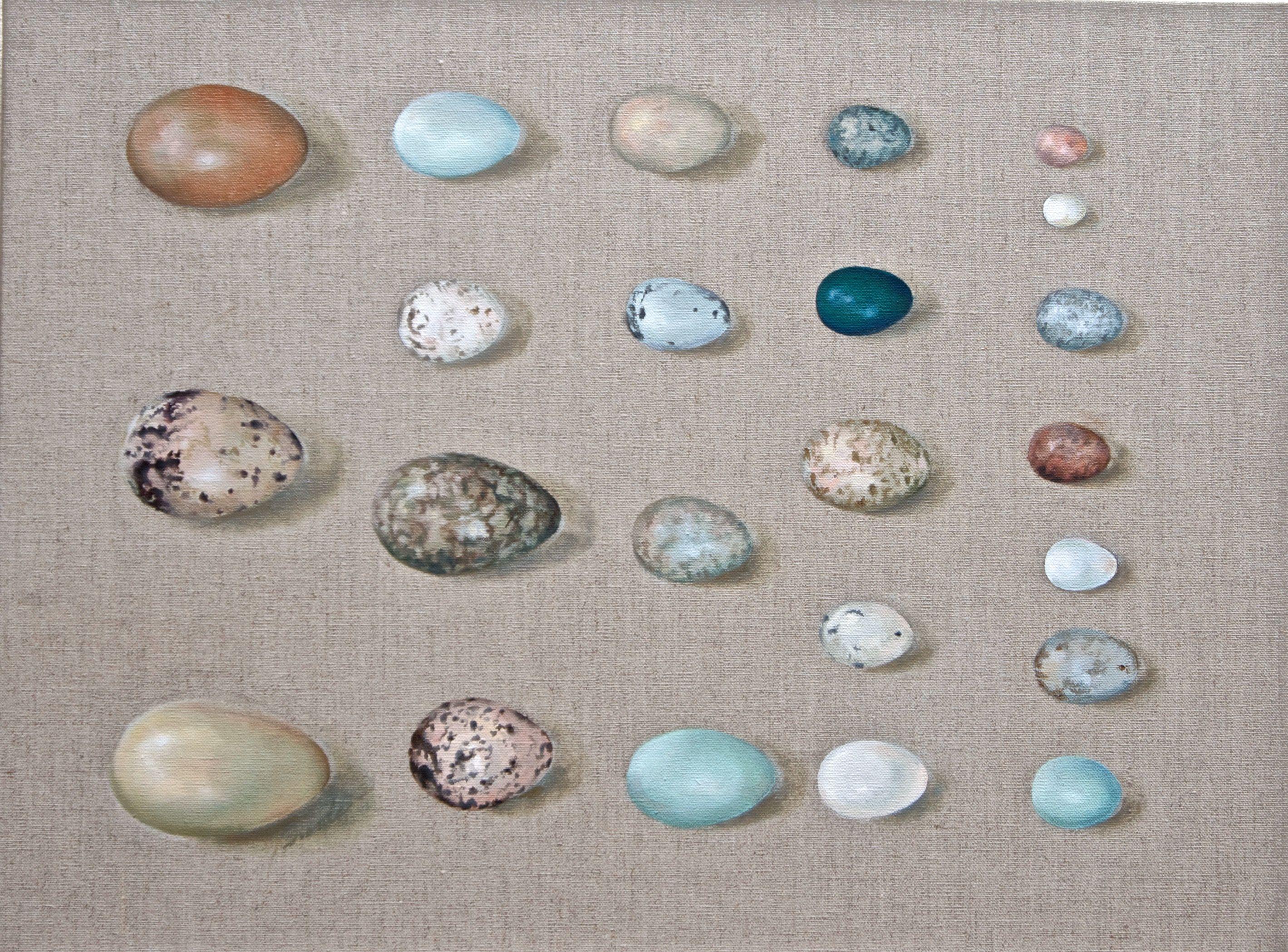 A curated collection of a variety of eye-catching birds' eggs. :: Painting :: Realism :: This piece comes with an official certificate of authenticity signed by the artist :: Ready to Hang: Yes :: Signed: Yes :: Signature Location: partial on front