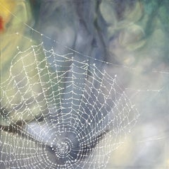 Gocce di rugiada, Pittura, Olio su tela
