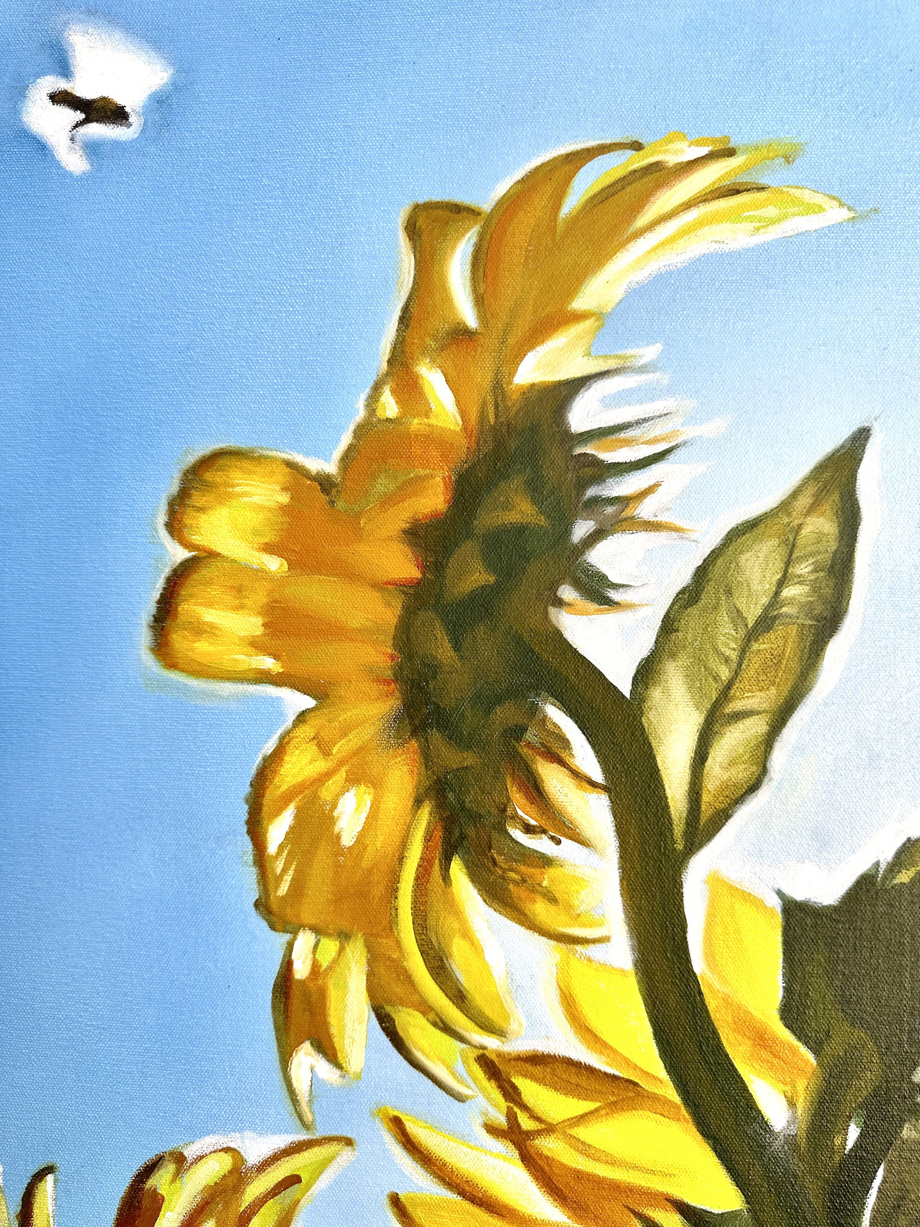 In una calda mattina d'agosto, questi girasoli gonfiati vengono visitati da uno sciame di api ambiziose, che si fermano abbastanza a lungo per compiere la loro magia di impollinazione e portare via molto polline come ricompensa. Illuminate dal sole,
