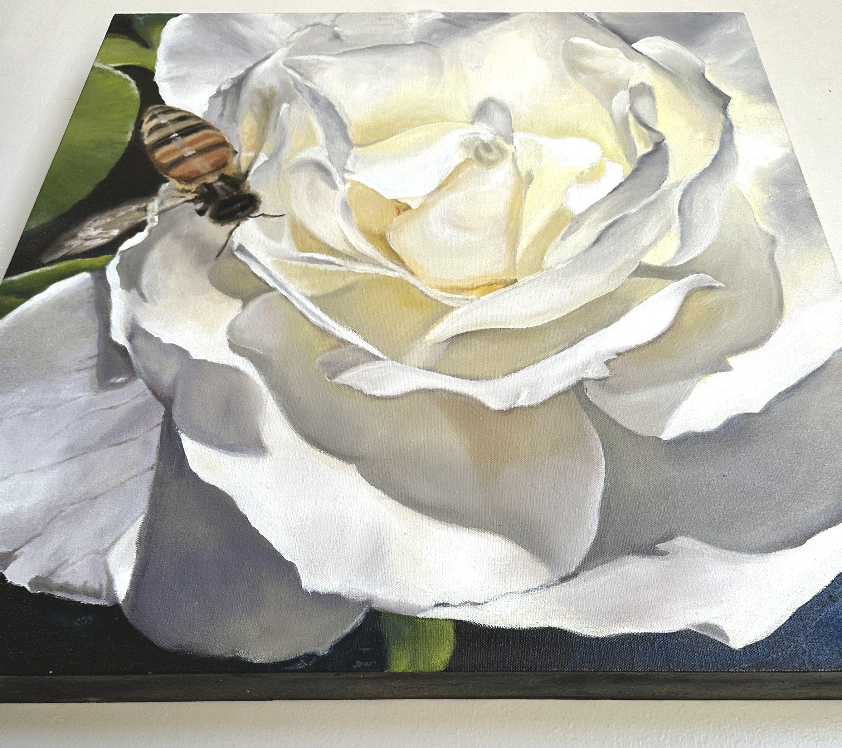 pinturas crosby