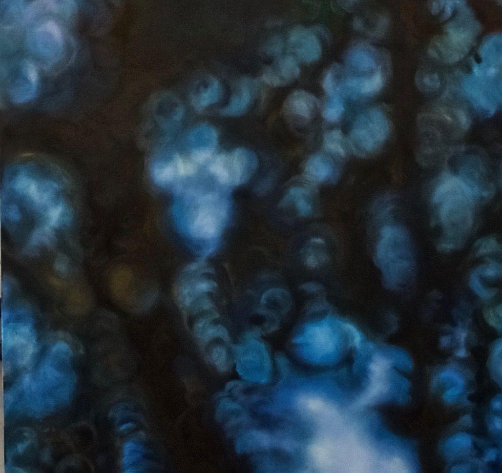 Up, Pittura, Olio su tela - Painting Realismo di Bronle Crosby