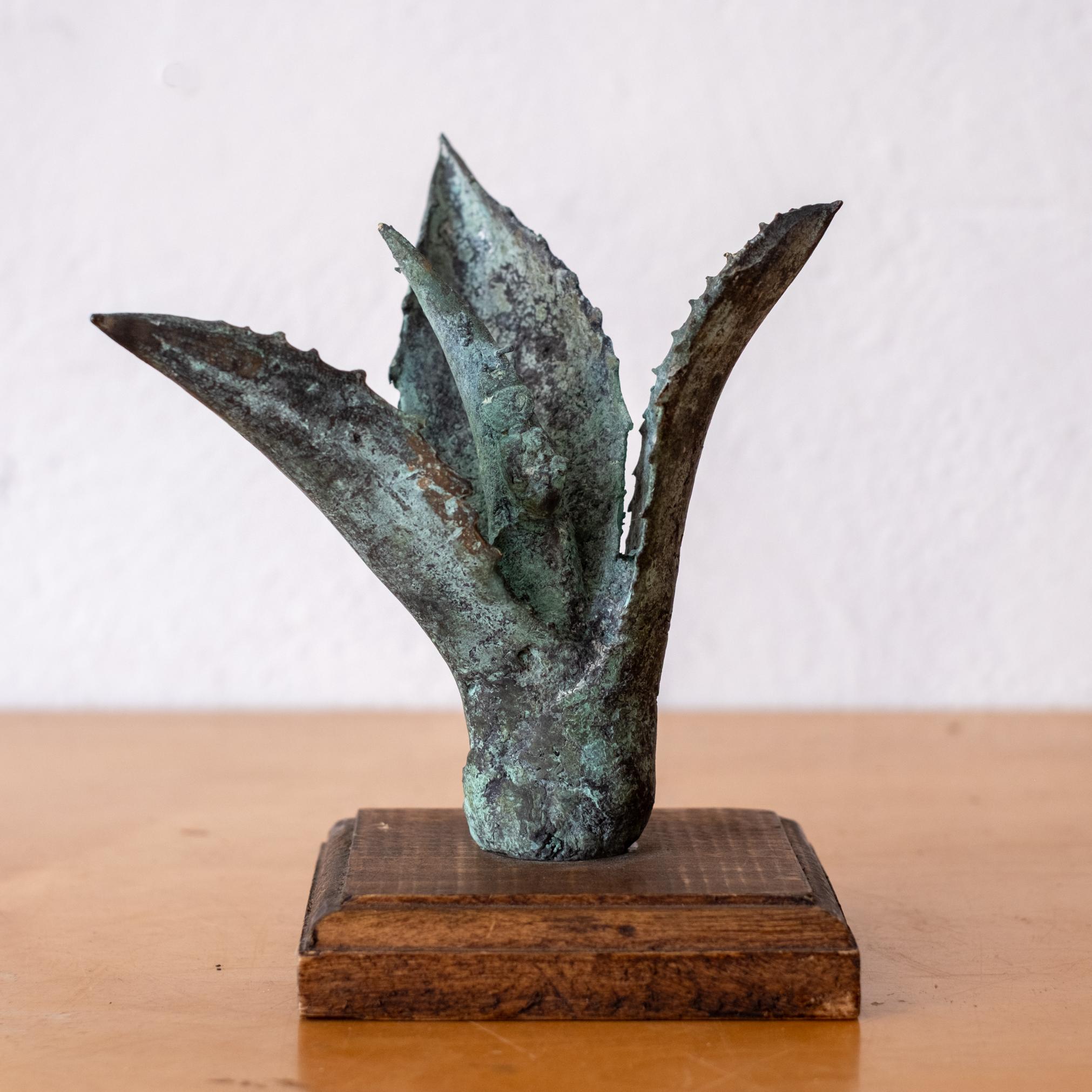 Bronze Agave plant sculpture from the 1970s with a nice green patina. Agave is used to make mezcal. Mounted on a wood base. Unsigned. 1970s