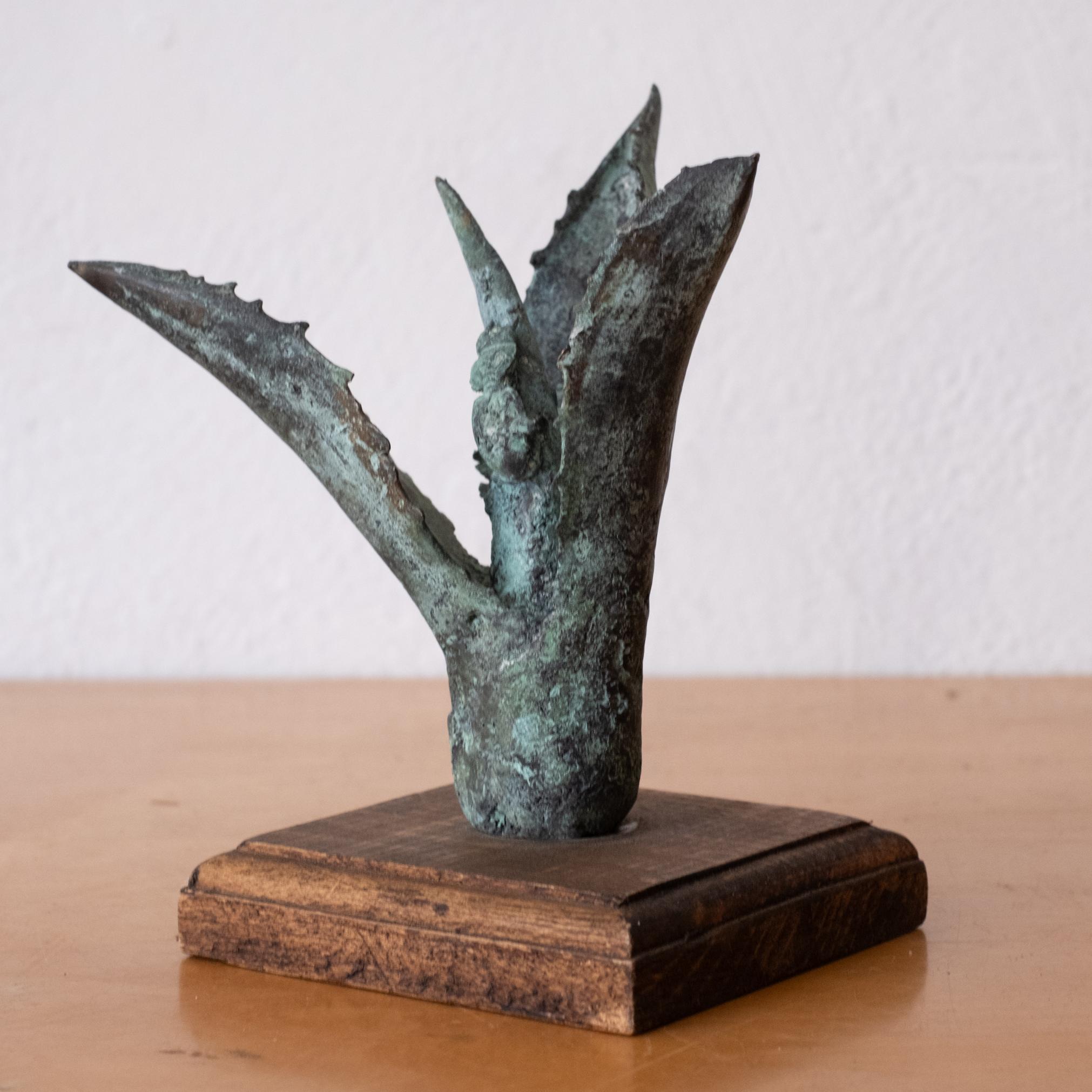 Bronze Agave Sculpture 1970s In Good Condition For Sale In San Diego, CA