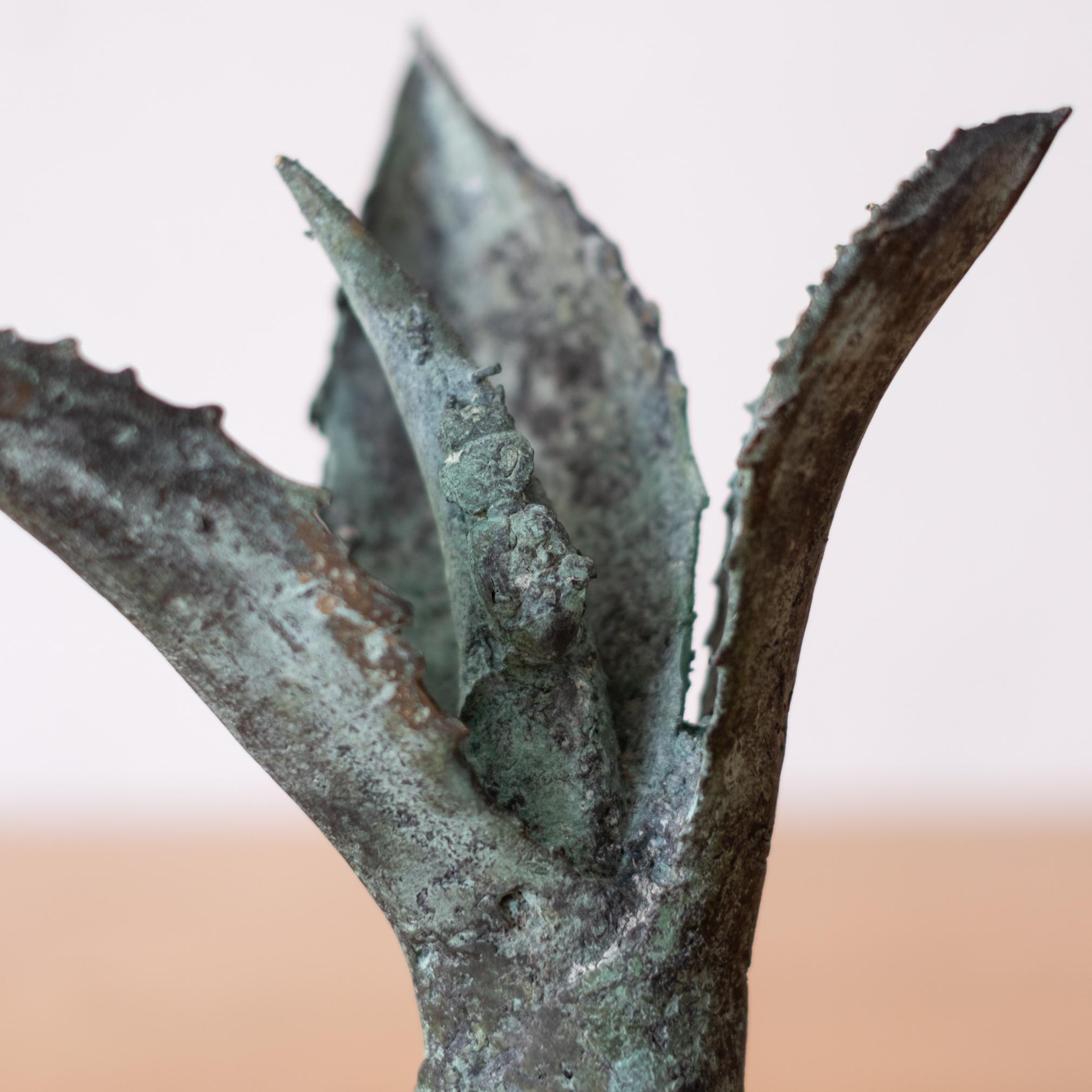 20th Century Bronze Agave Sculpture 1970s For Sale