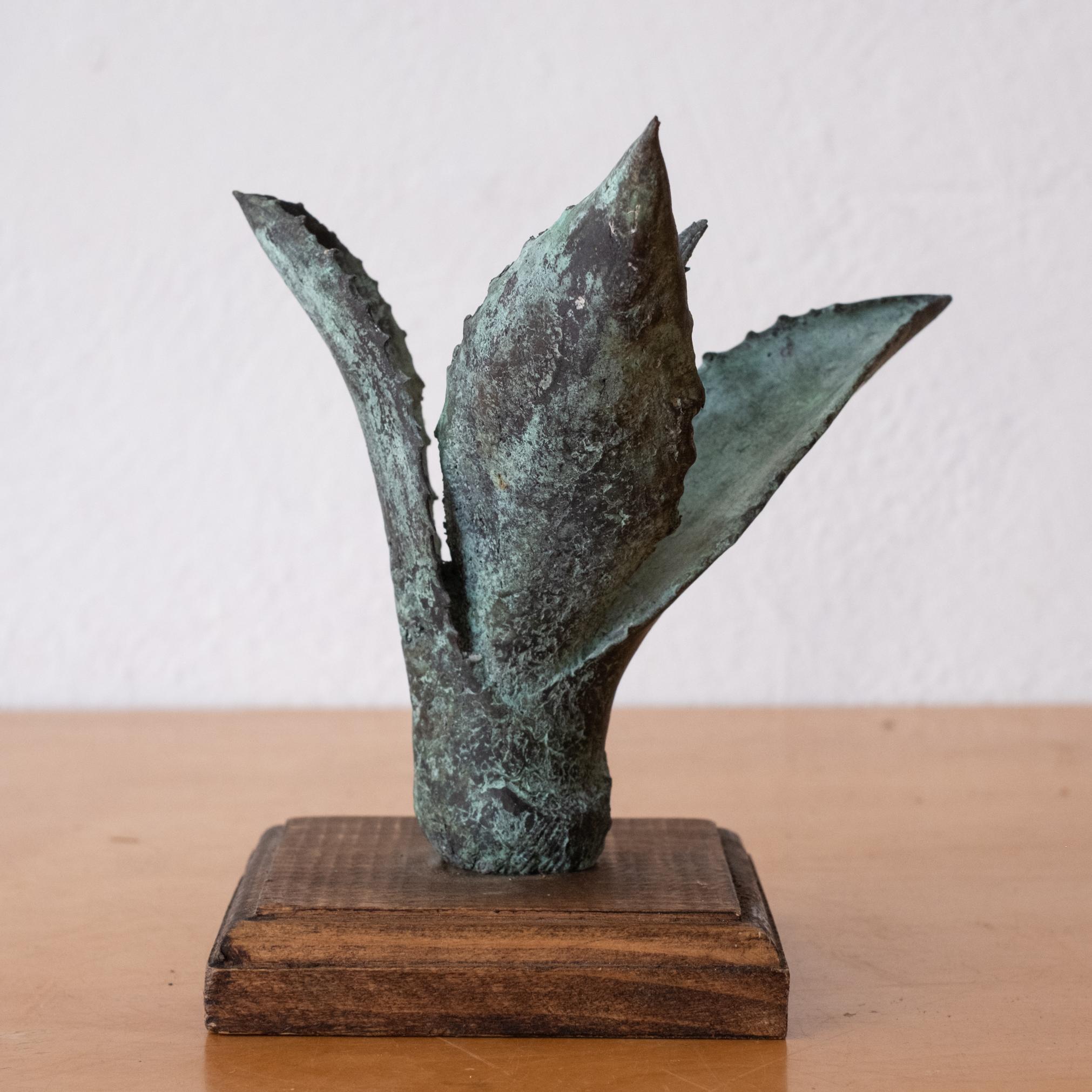 Bronze Agave Sculpture 1970s For Sale 1