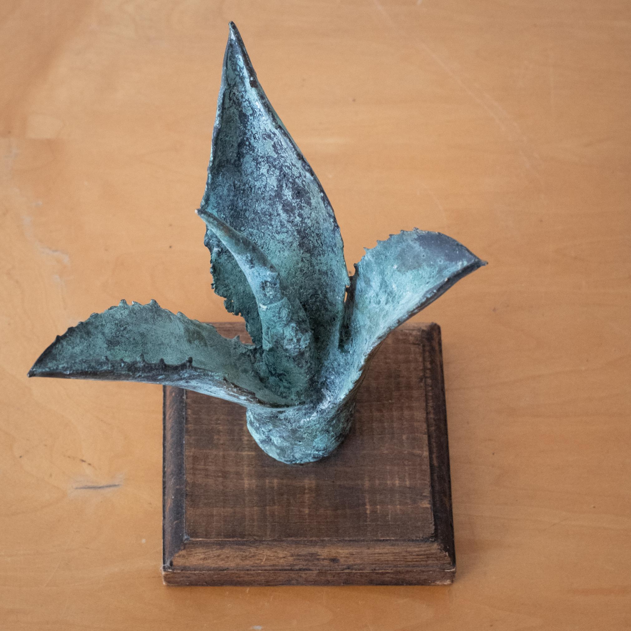 Bronze Agave Sculpture 1970s For Sale 2
