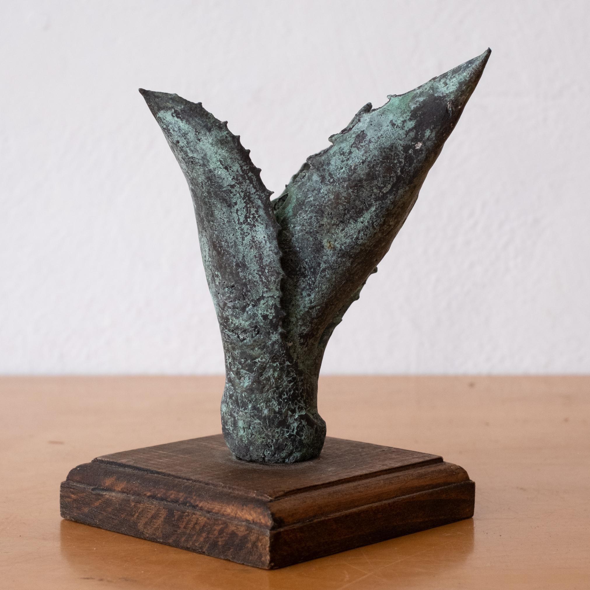 Bronze Agave Sculpture 1970s For Sale 3
