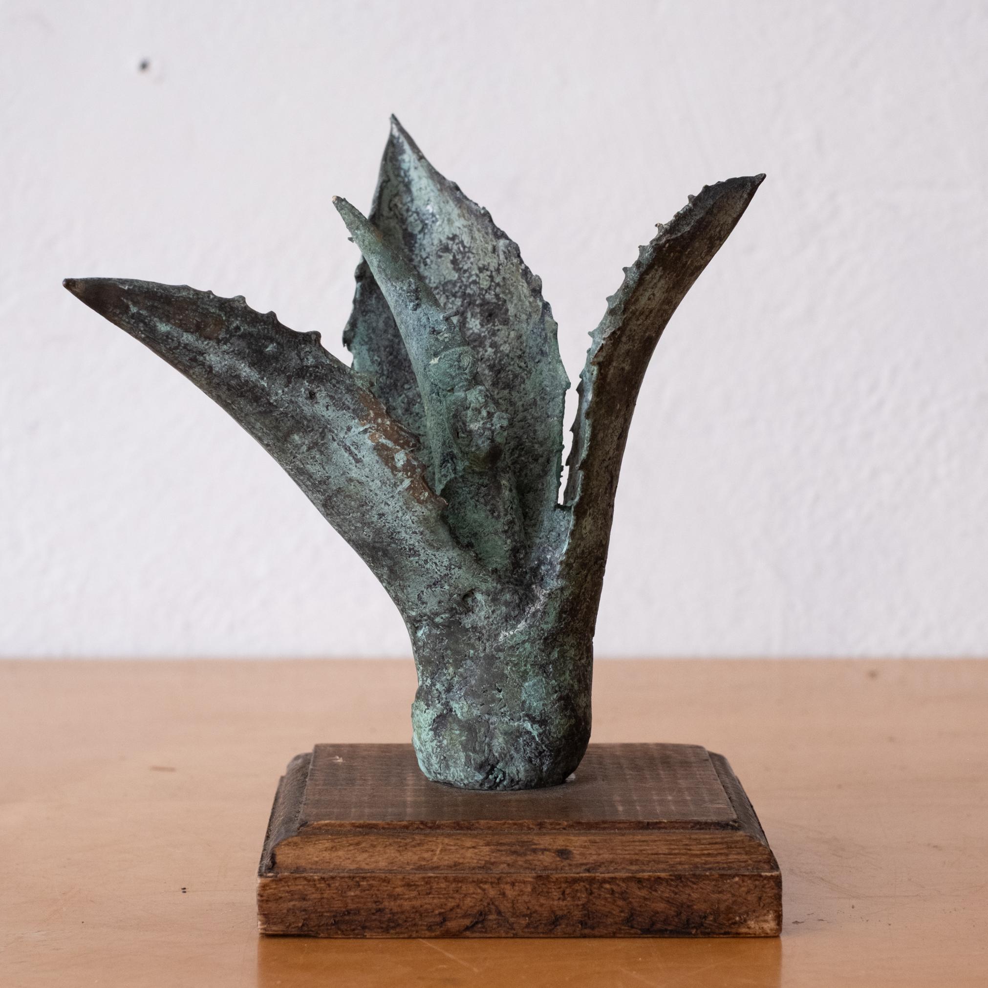 Bronze Agave Sculpture 1970s For Sale 5