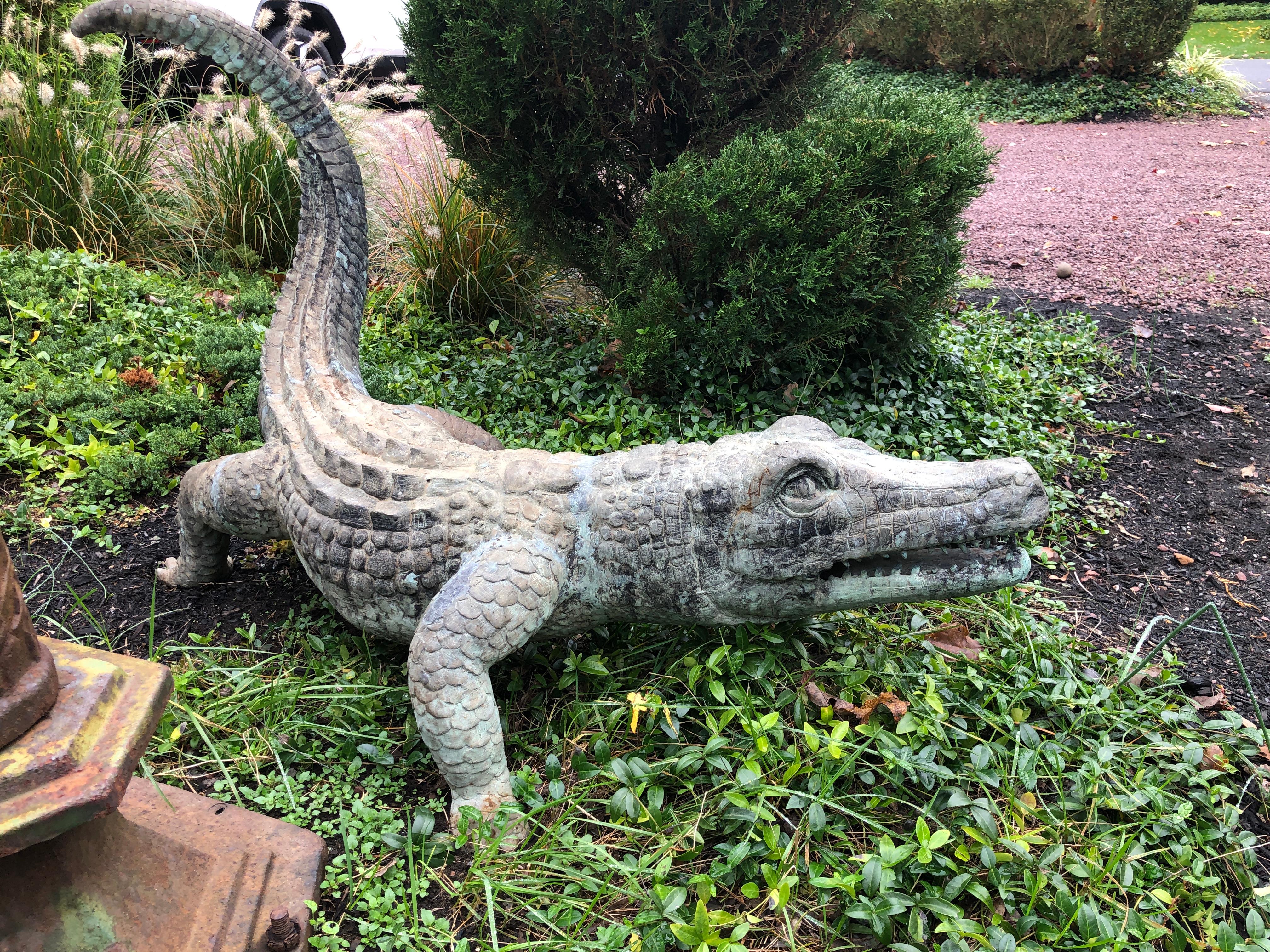 Impressionnant alligator en bronze de belle qualité avec une belle patine verte. Beau casting et belle modélisation.
Mesures : 27