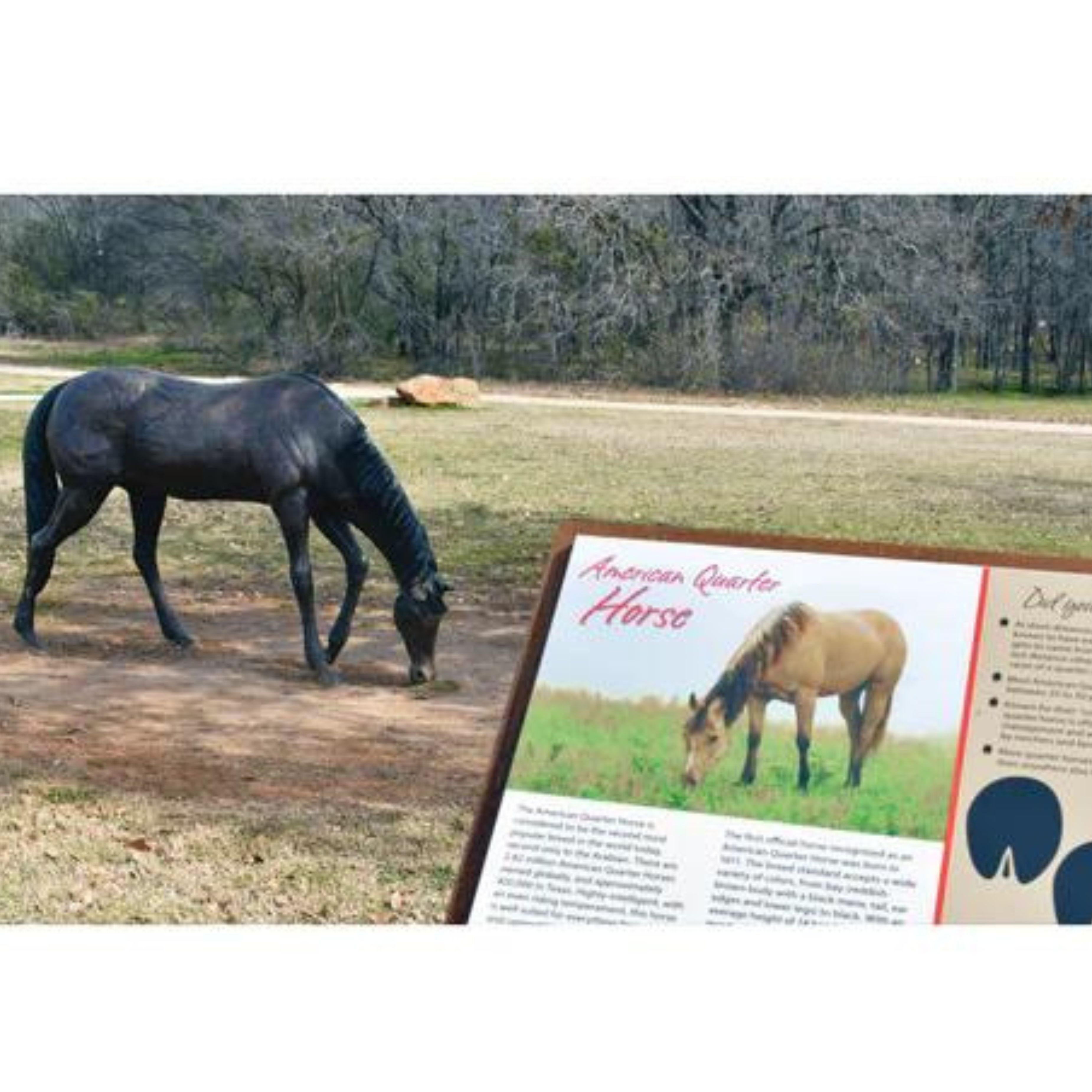 Contemporary Bronze American Quarter Horse Animal Statue For Sale
