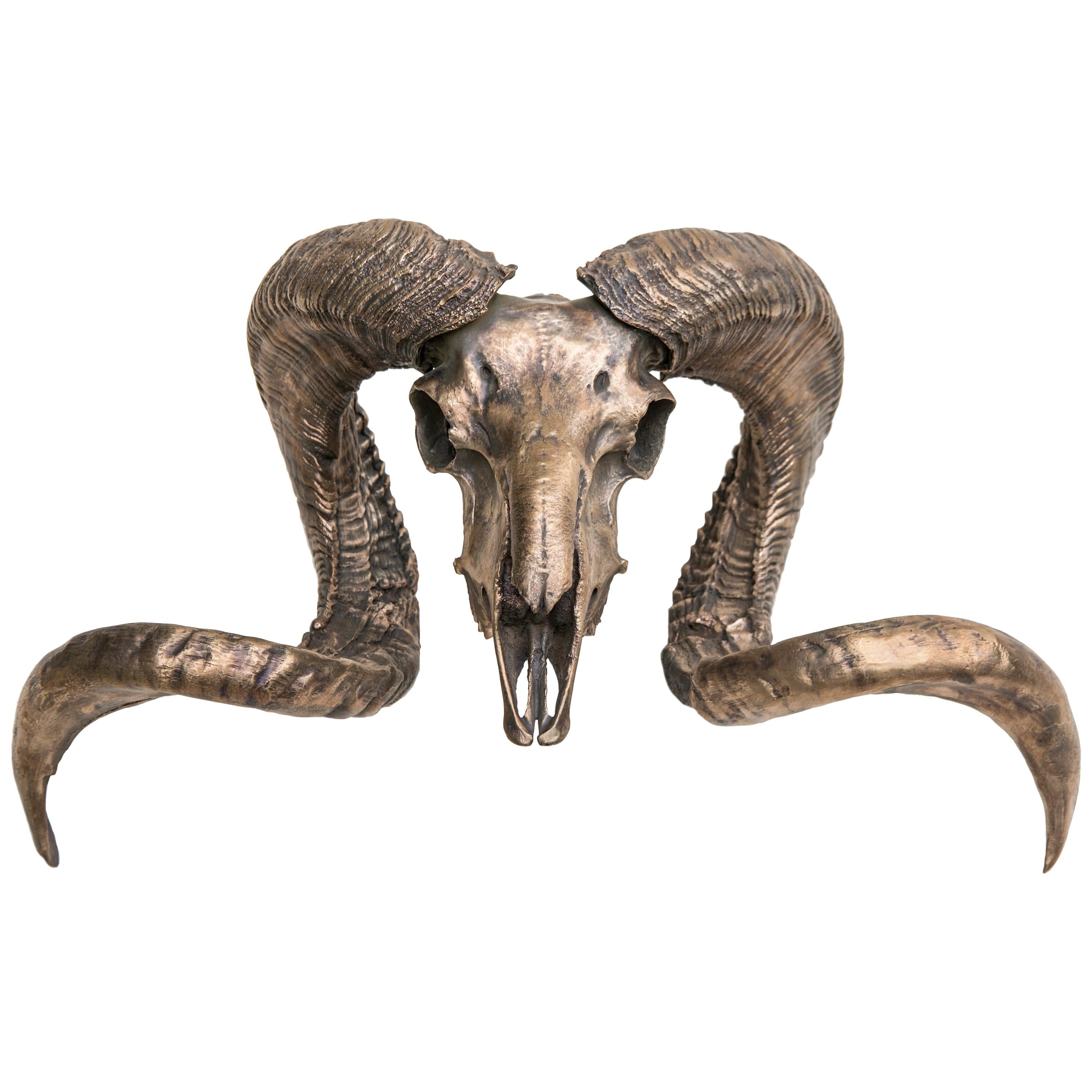 Decorative Bronze American Ram Skull for wall mount or table accent For Sale