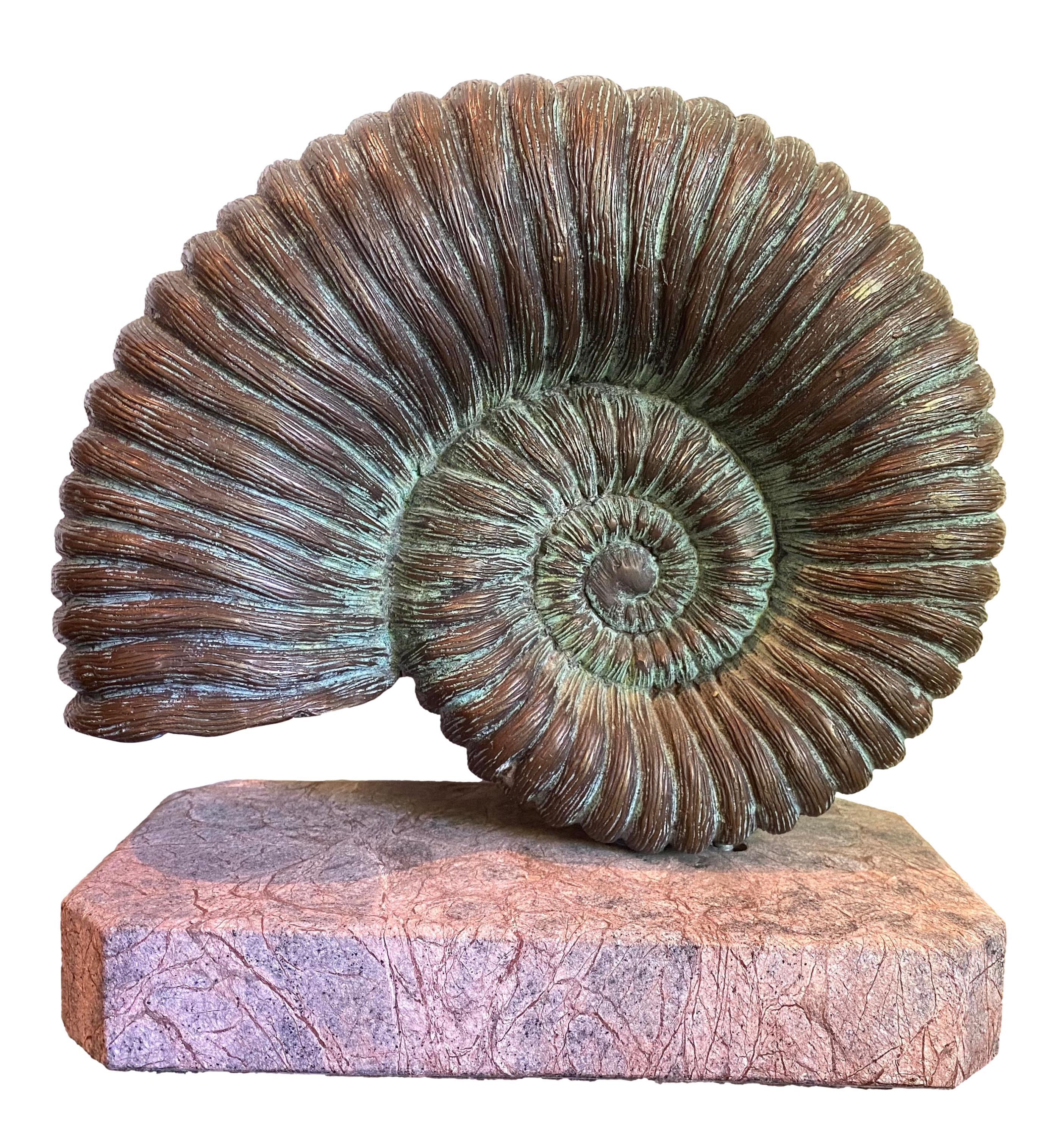 curly fossil