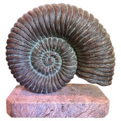 Ammonite en bronze sur base en marbre