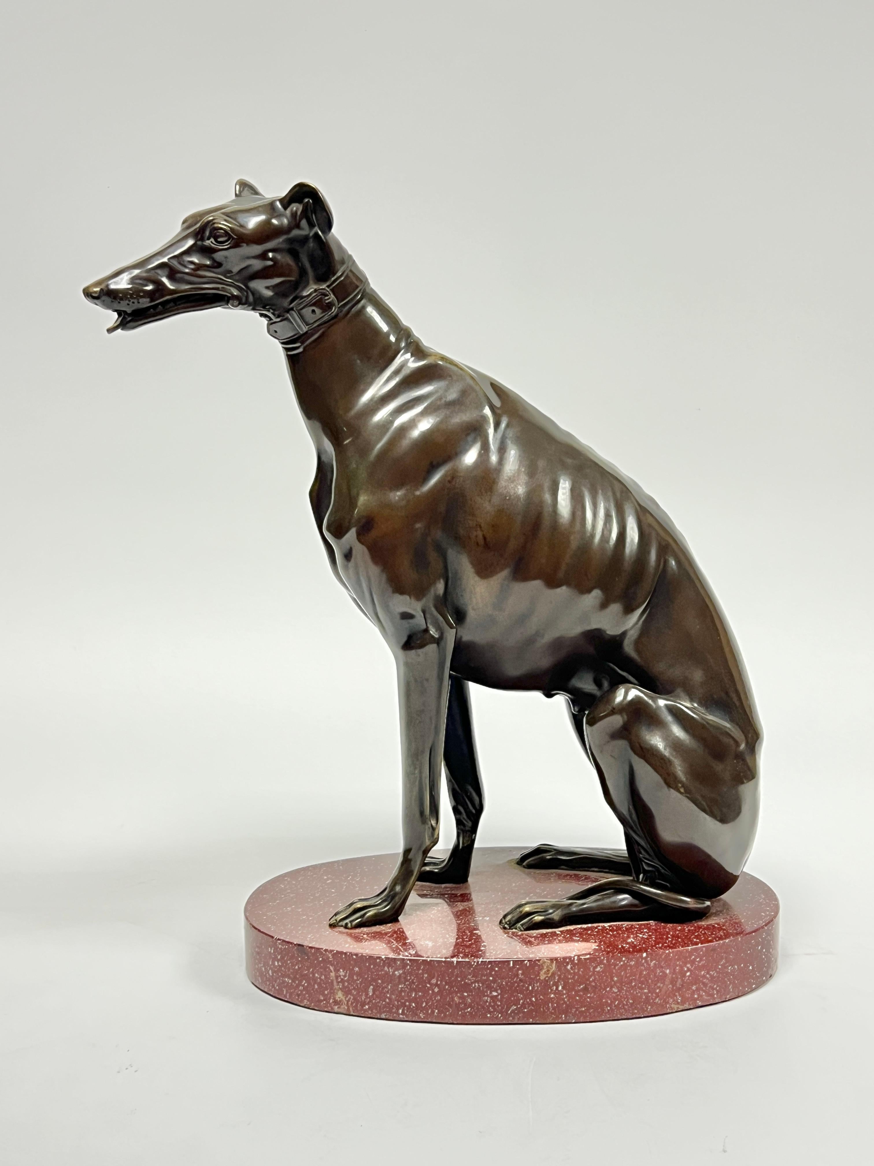 Scultura in bronzo finemente modellata, fusa e patinata di un cane whippet o levriero seduto,  montato su un piedistallo di marmo di forma ovale.  11 per 14 1/2 per 5 1/2 pollici.  Apparentemente non firmato.